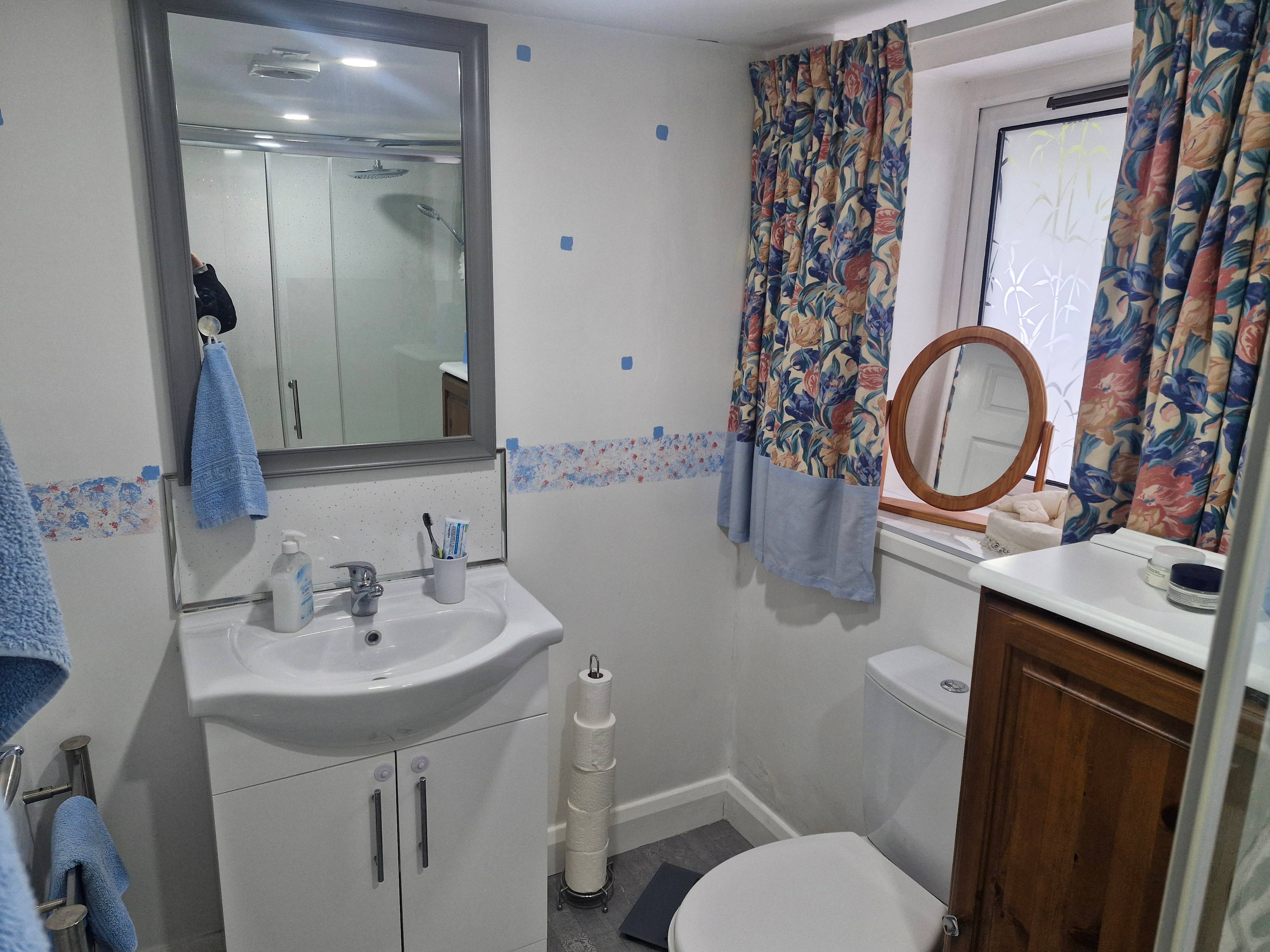 Annexe Shower Room