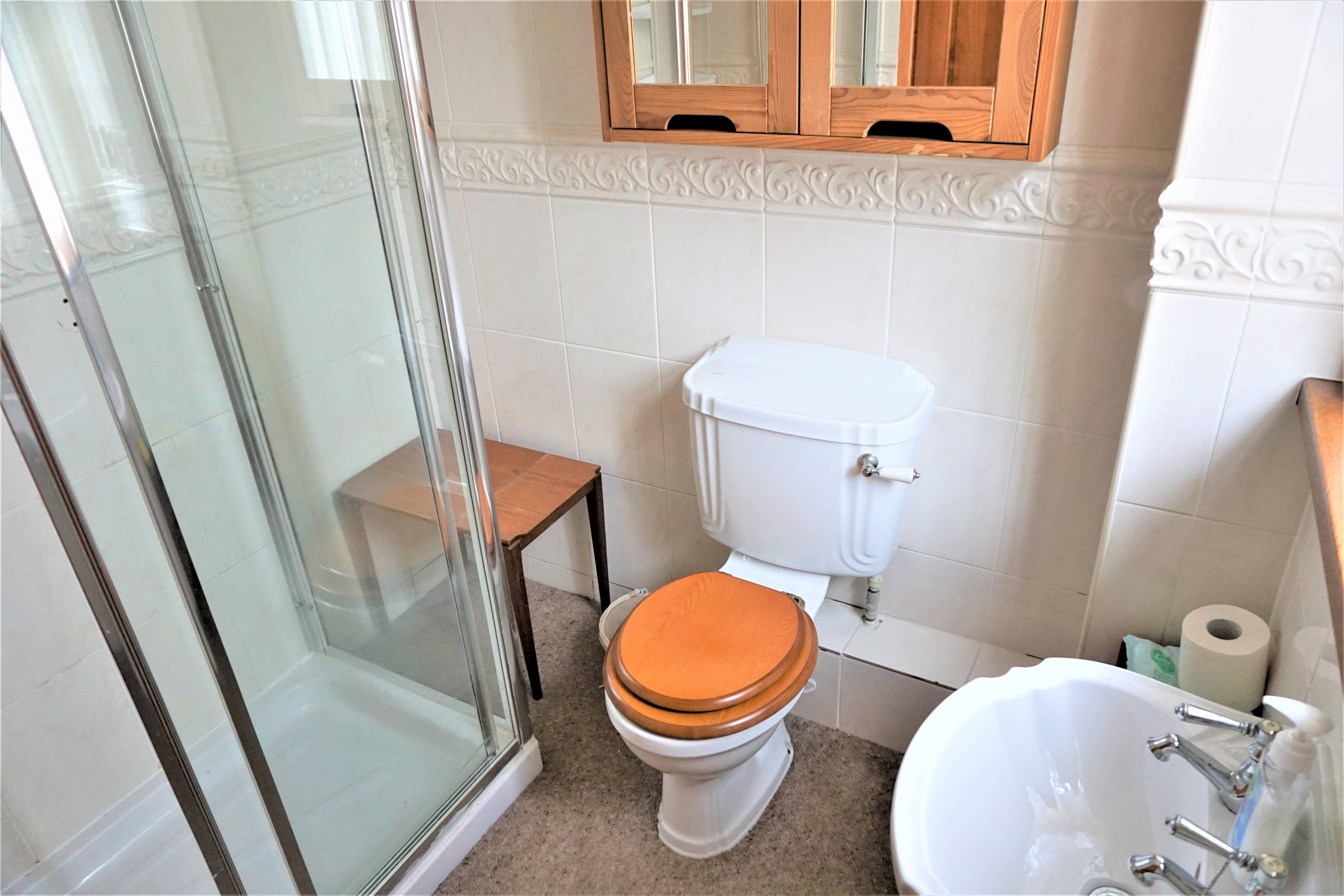 Downstairs Shower