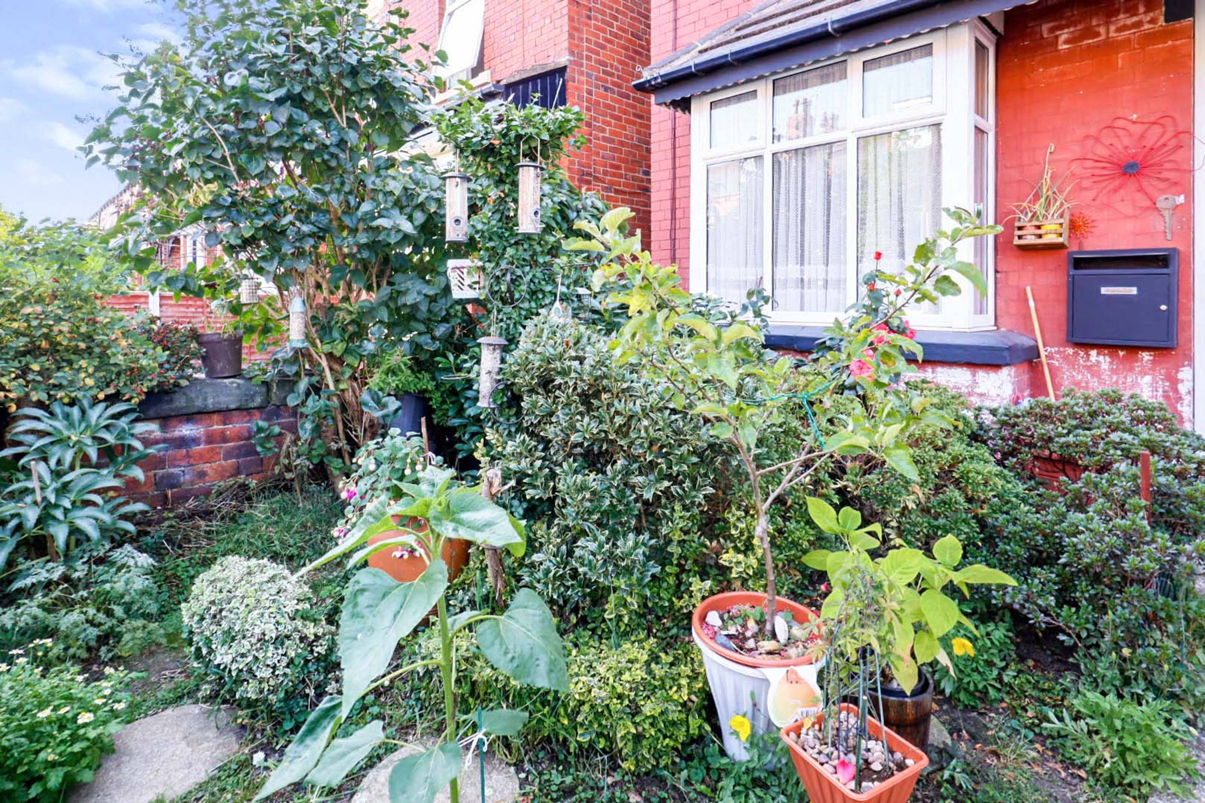 Front Garden