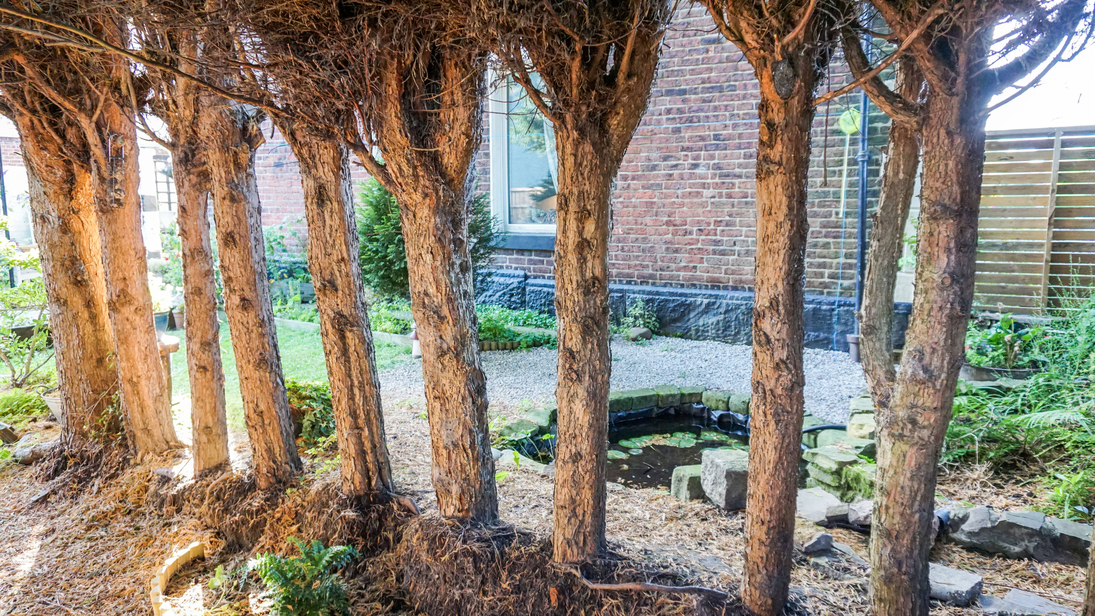Side Garden