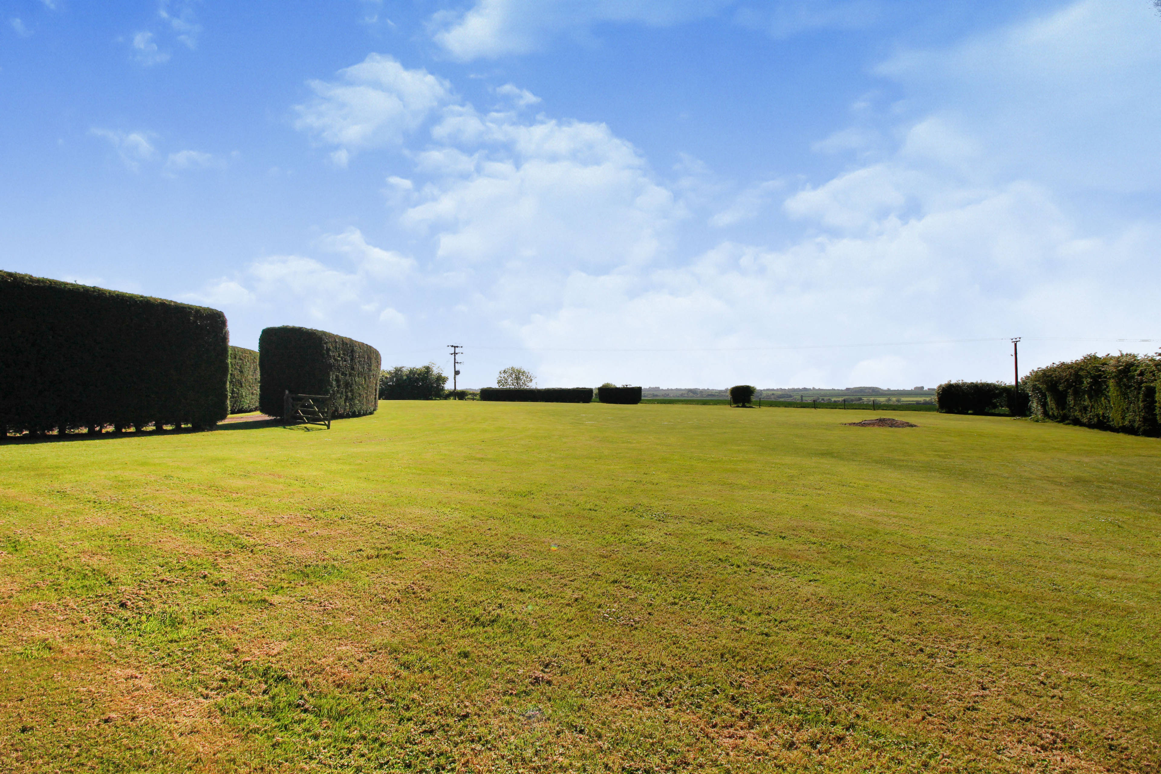 Paddock