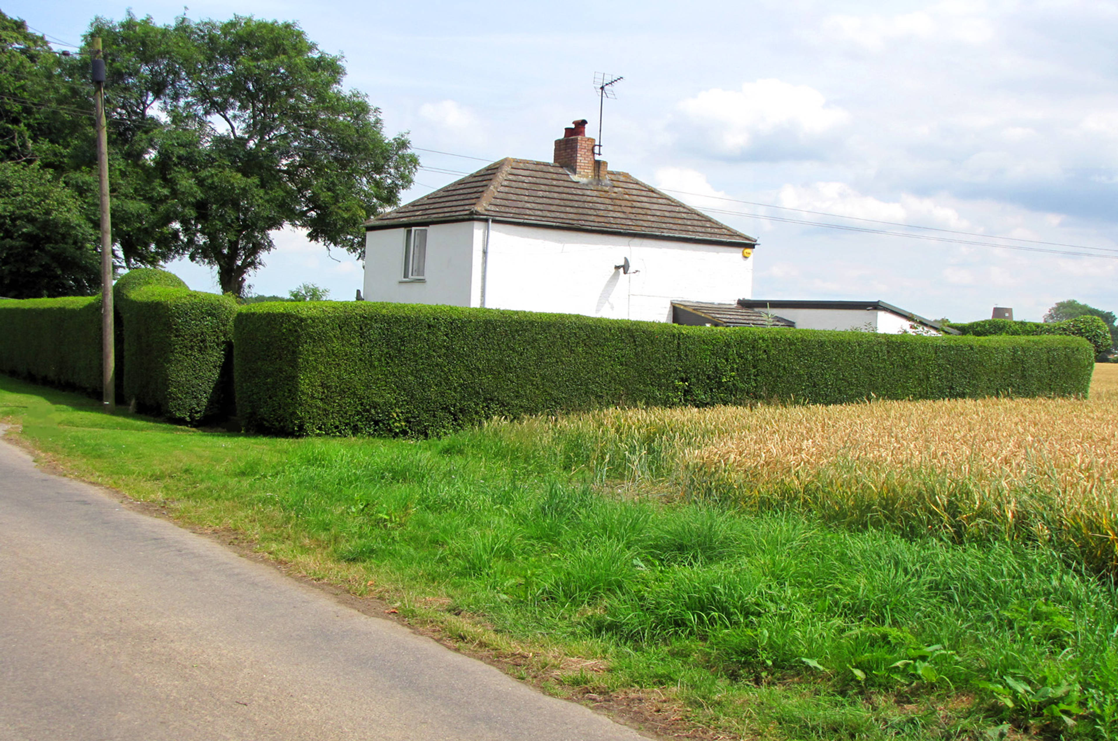 View Of The Property