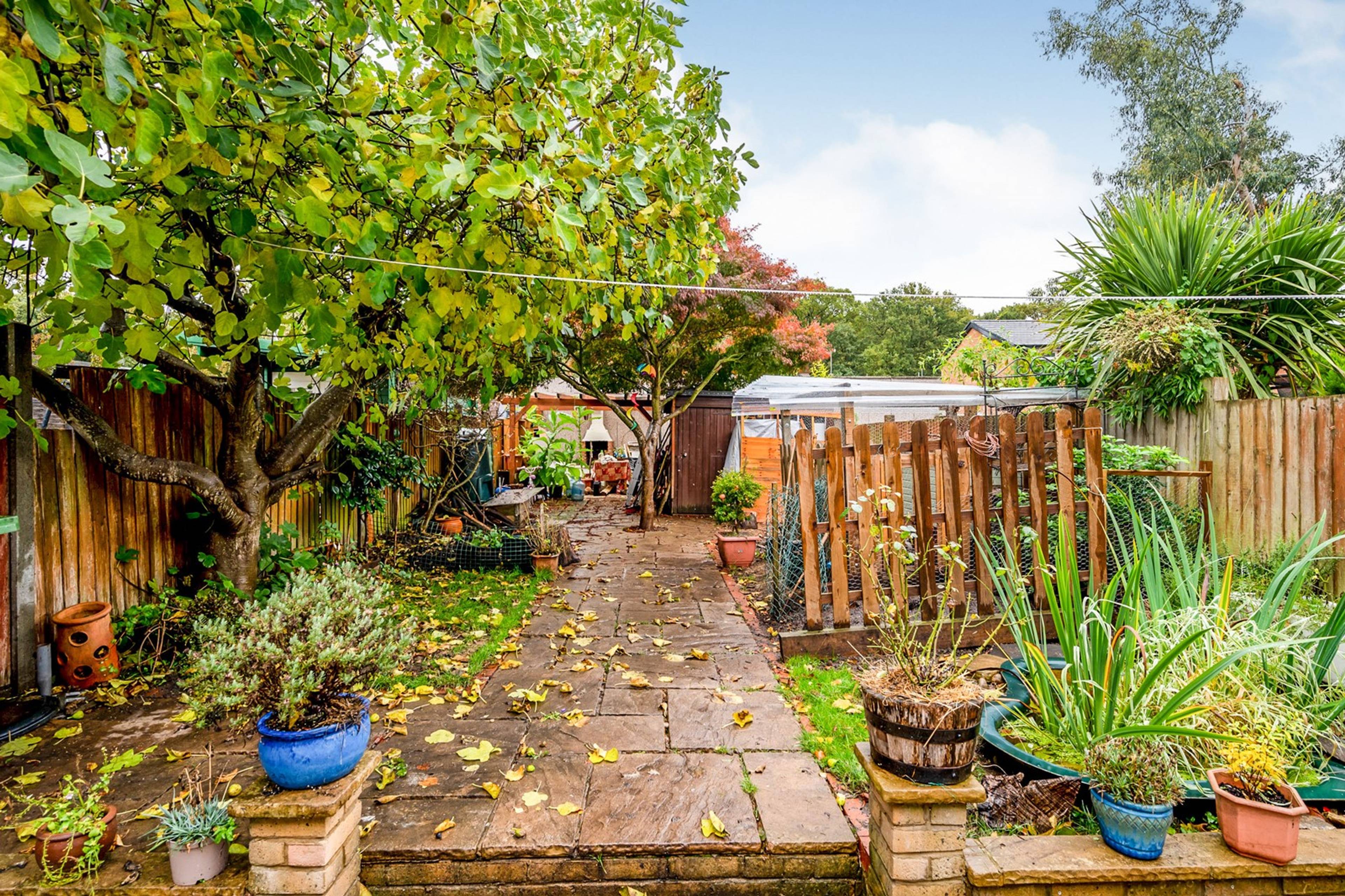Garden