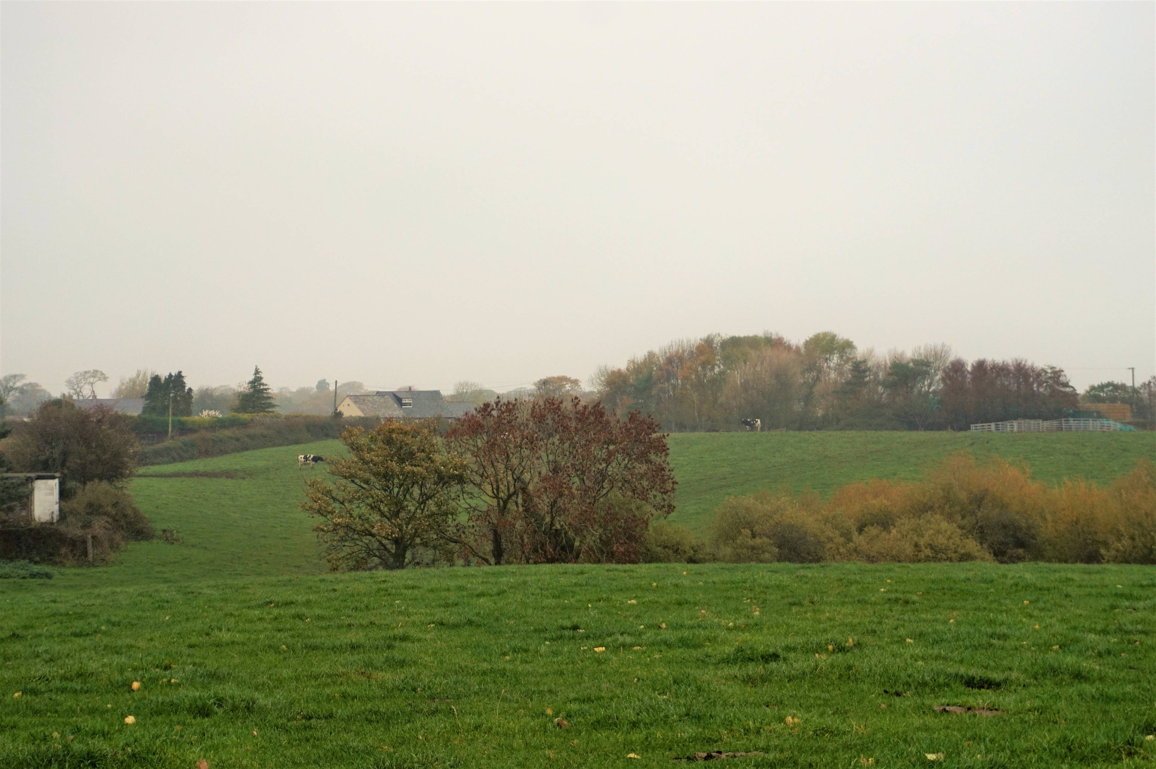Land