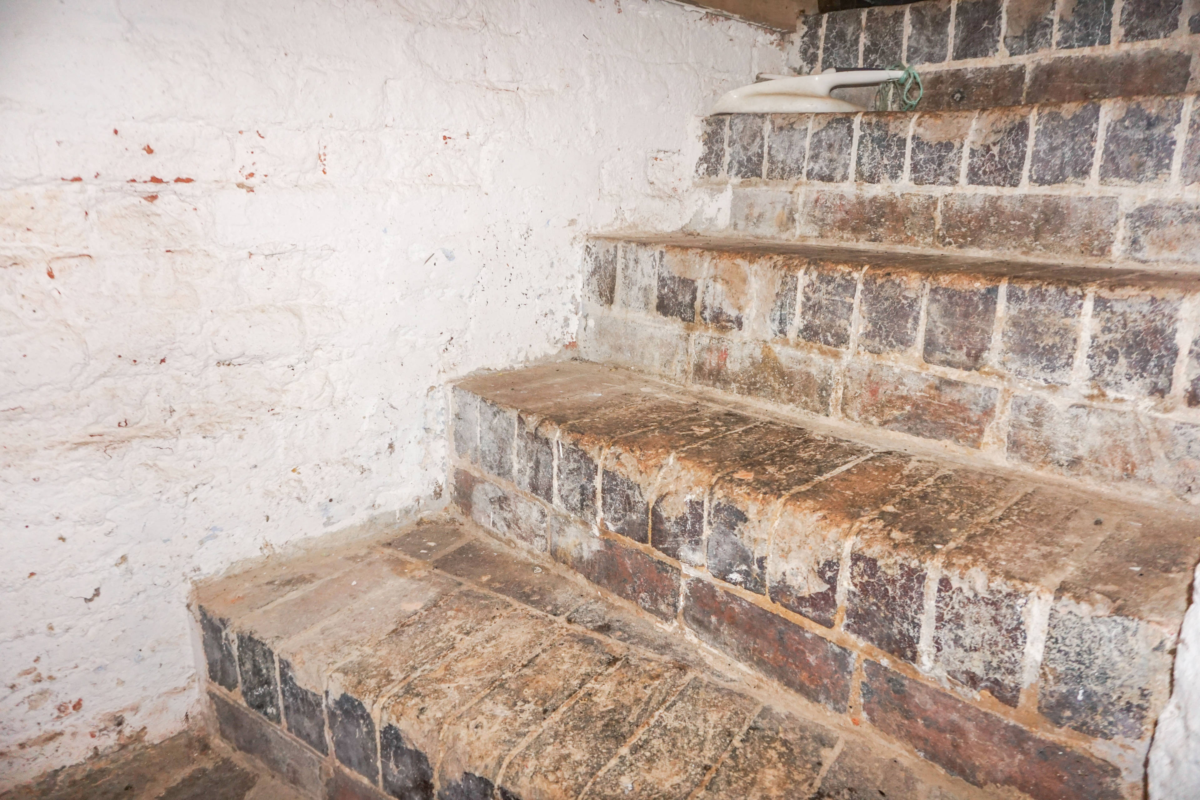 Cellar