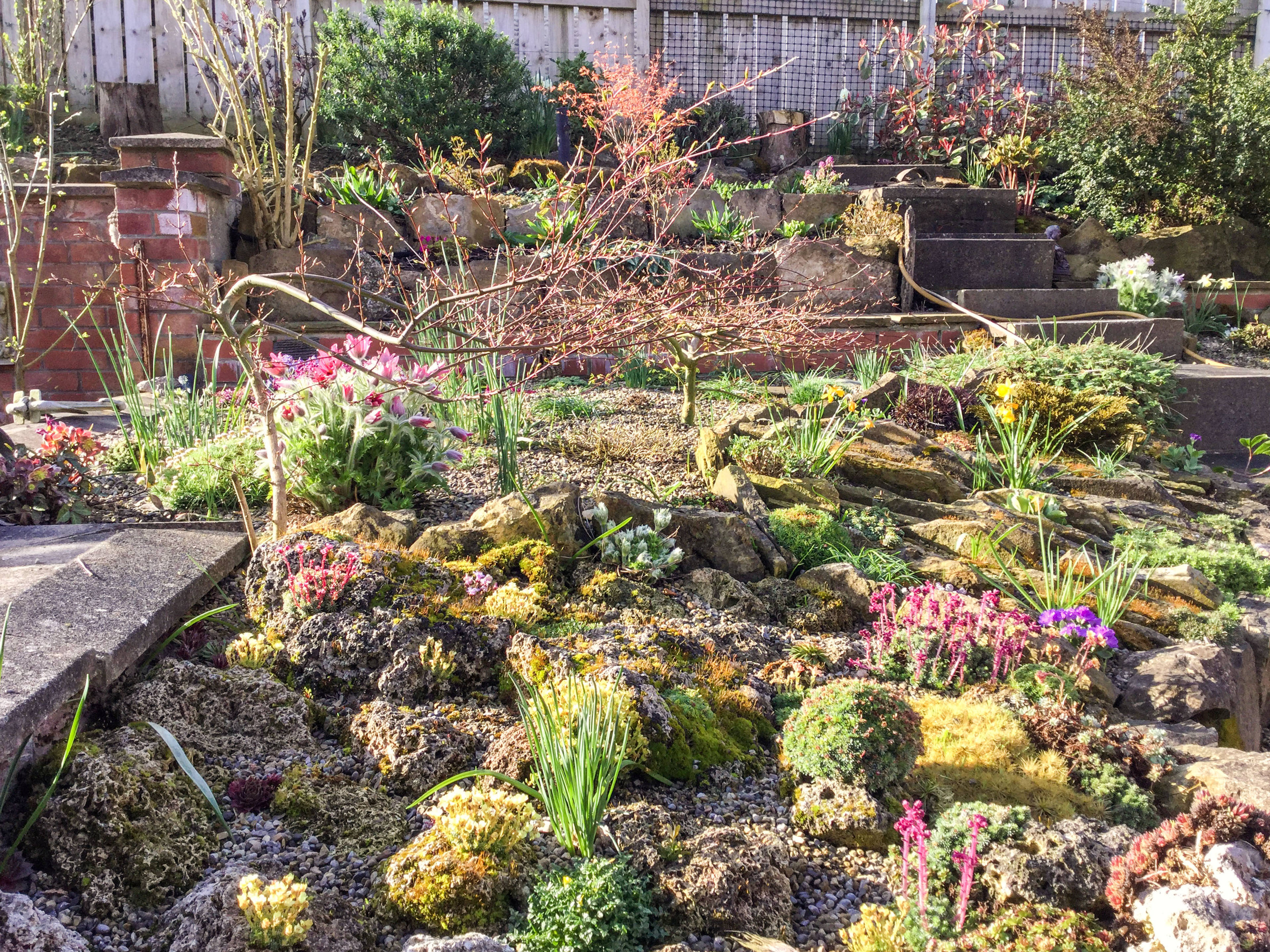 Mature Garden
