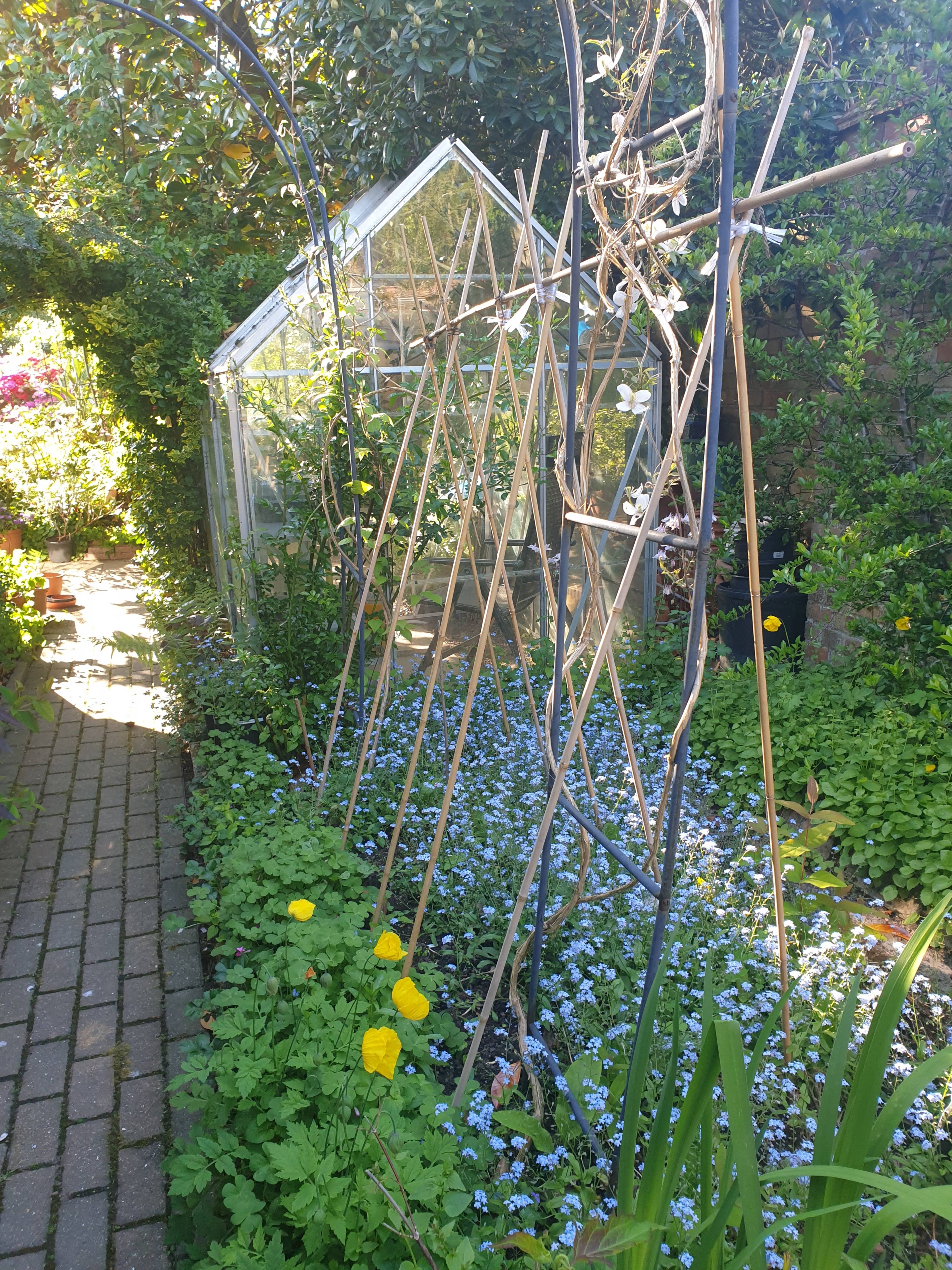 Greenhouse