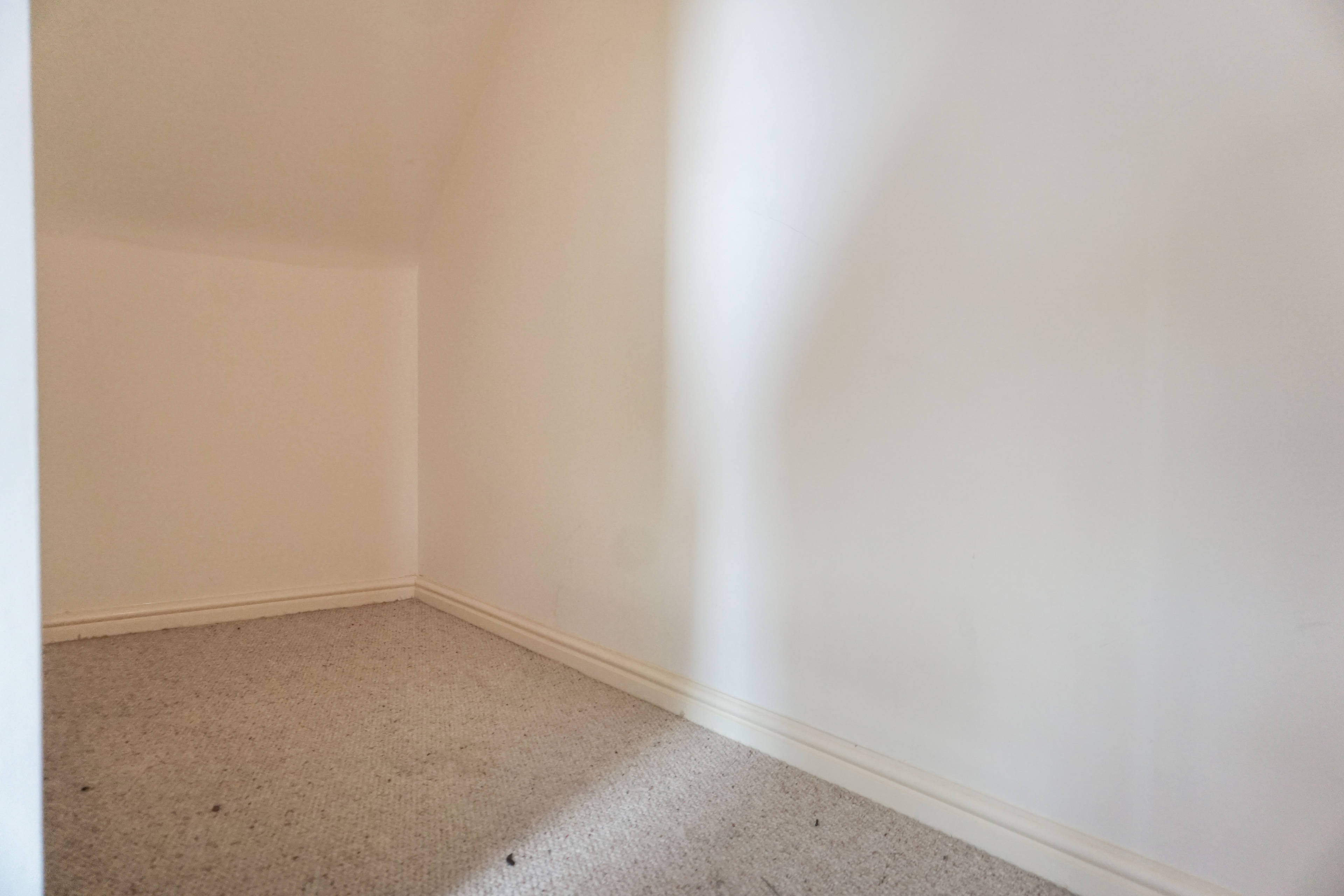 Under Stair Cupboard