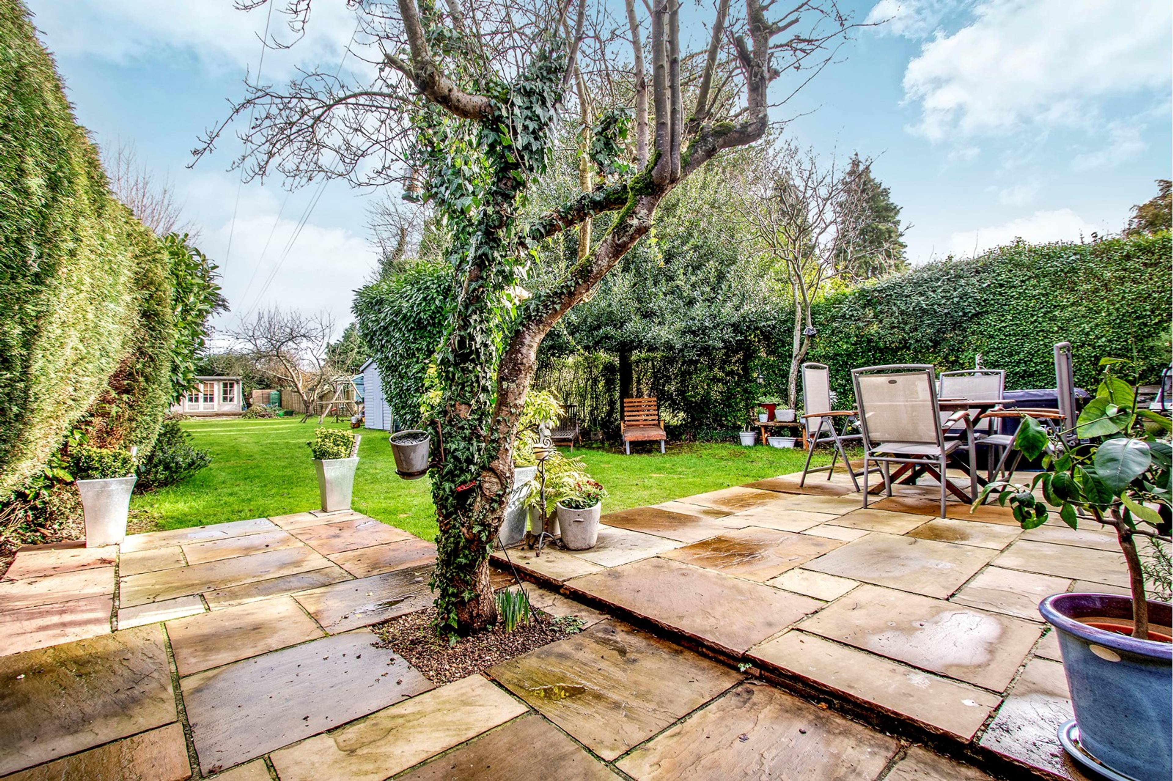 Garden