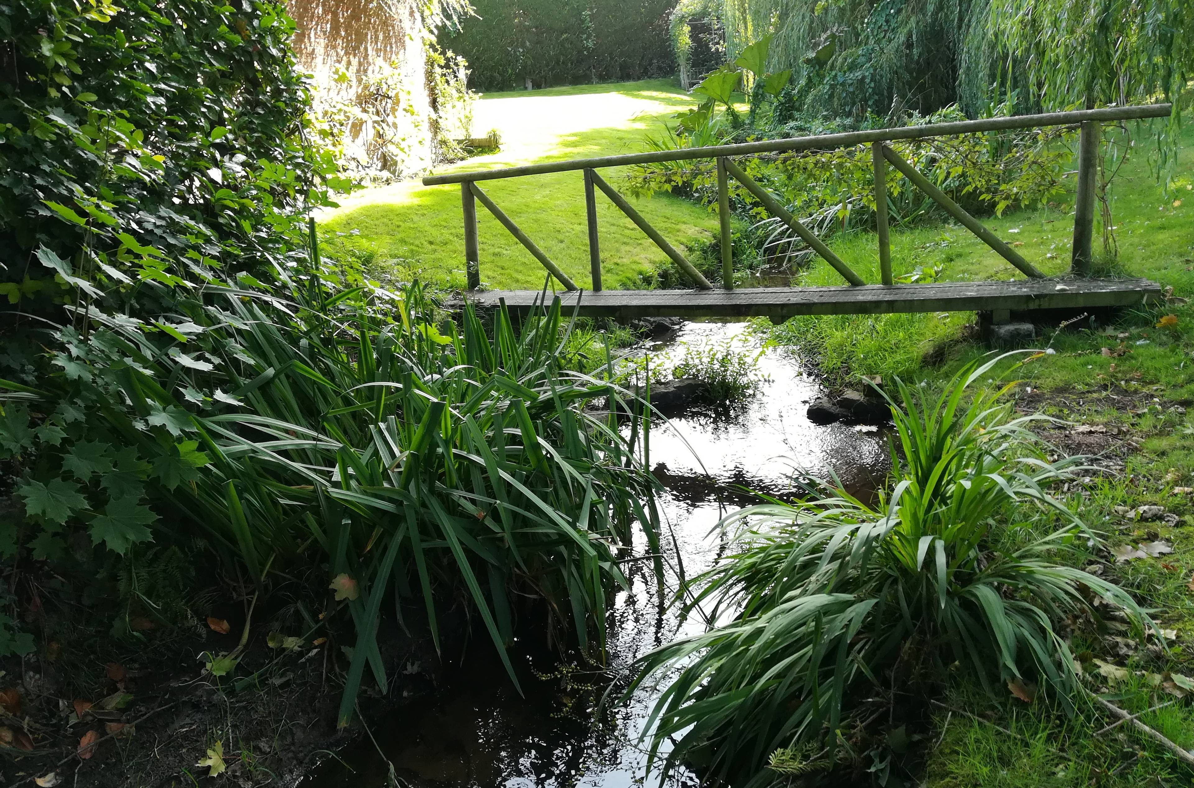Side Garden