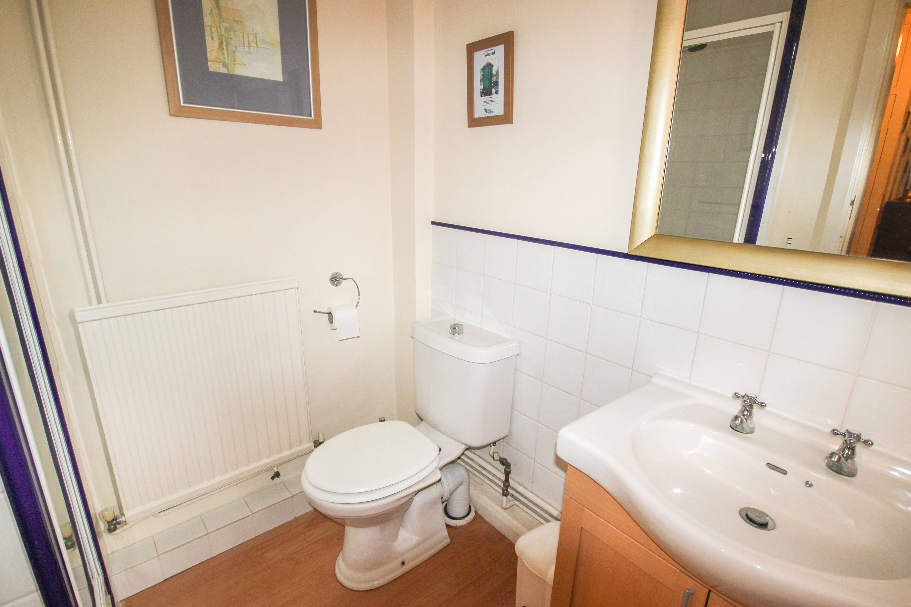Downstairs Shower