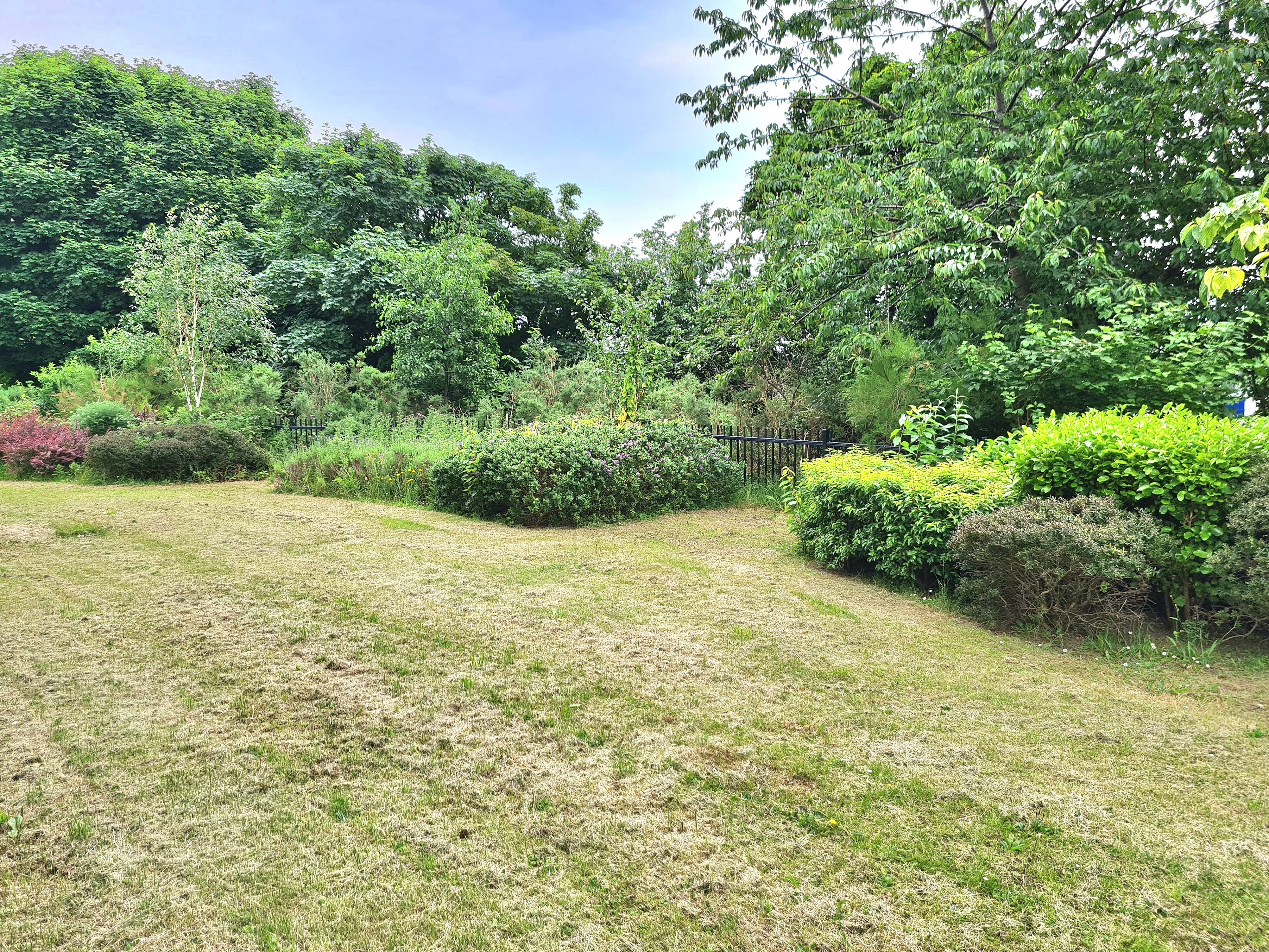 Communal Gardens