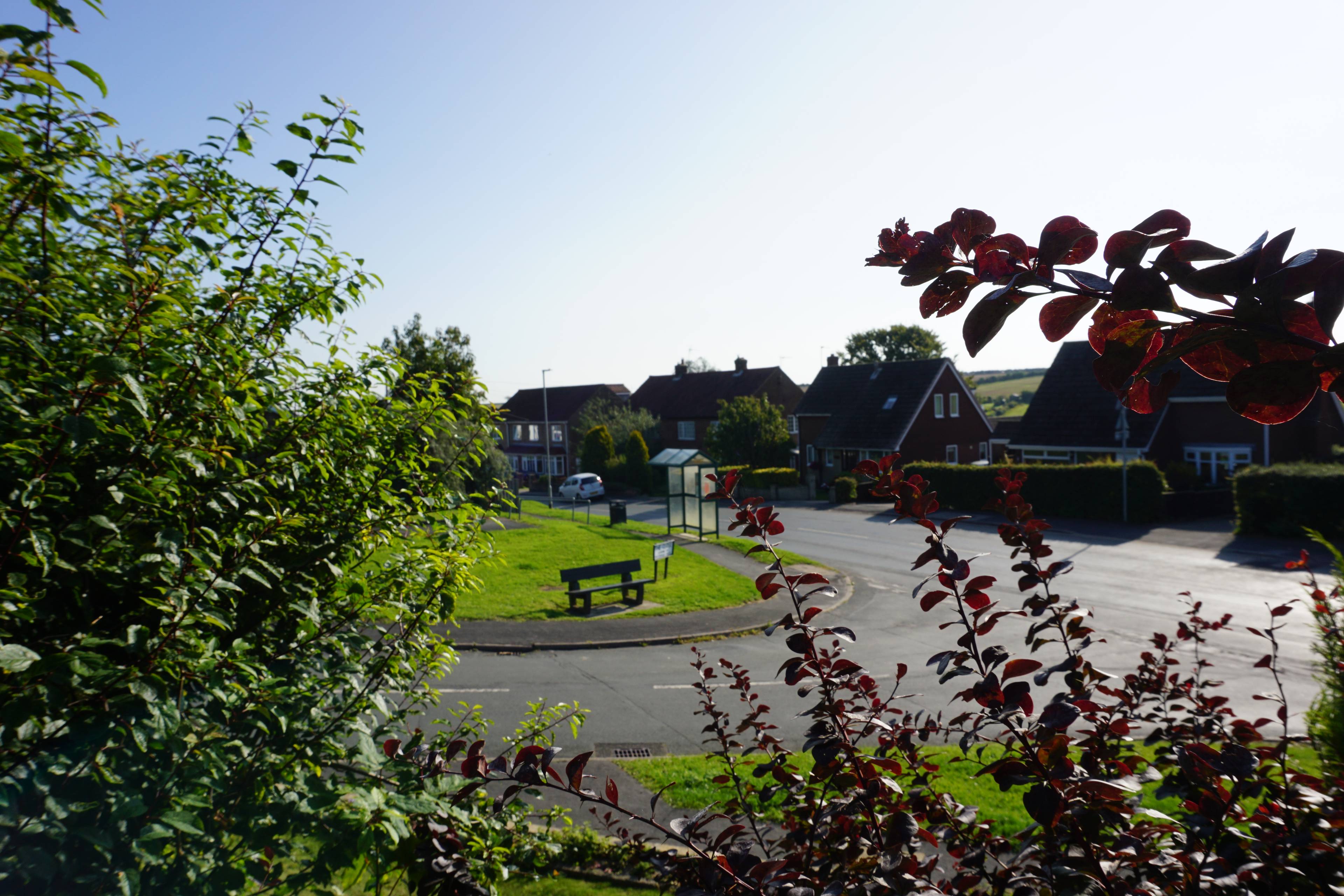 Surrounding Area