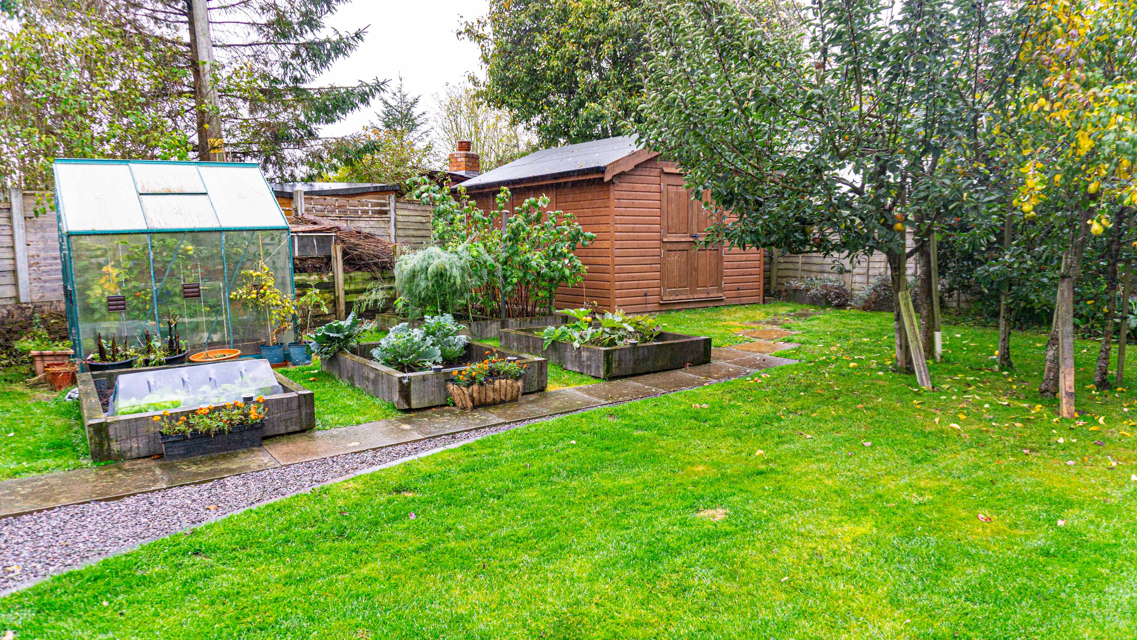 Garden
