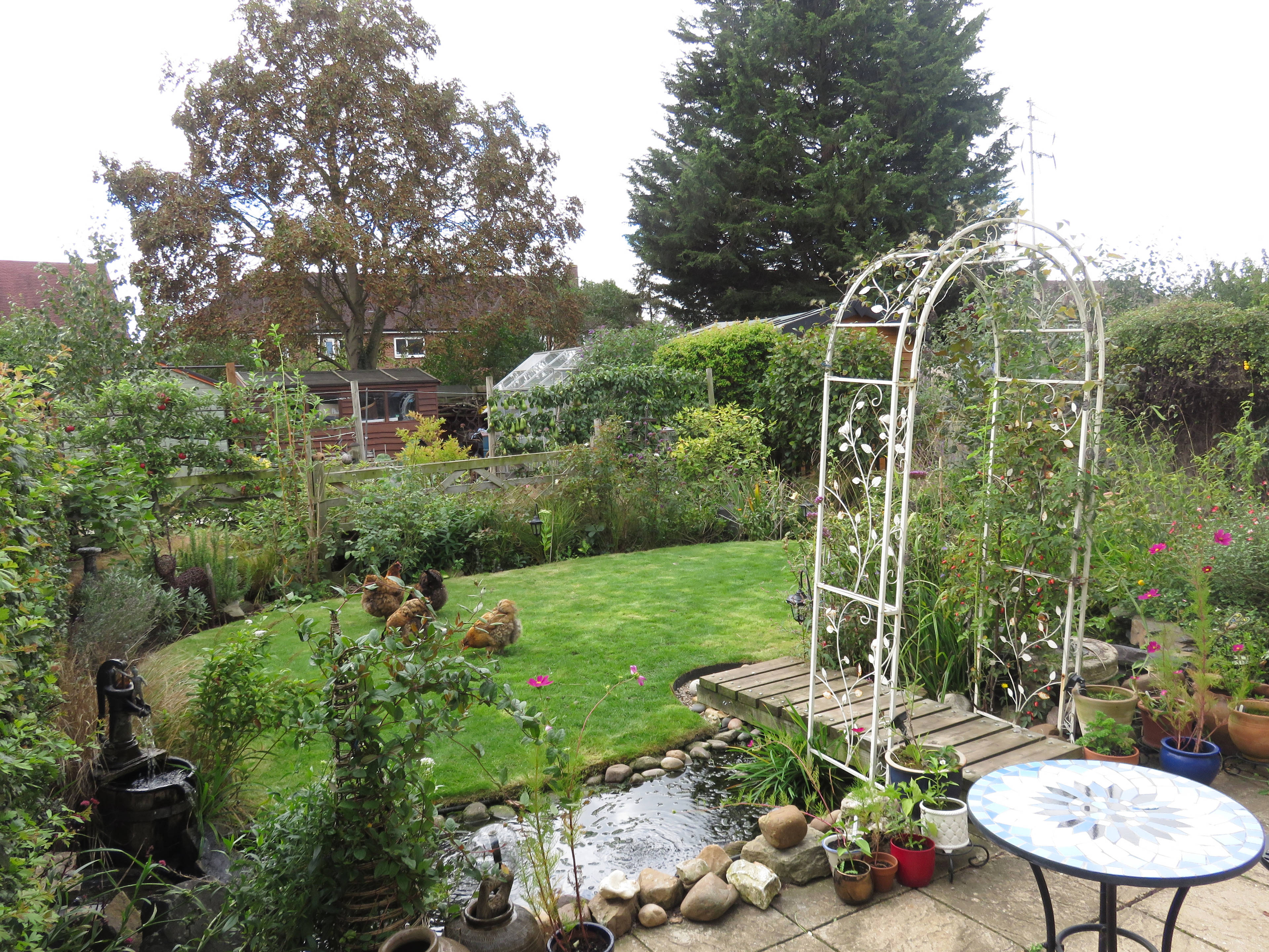 Garden