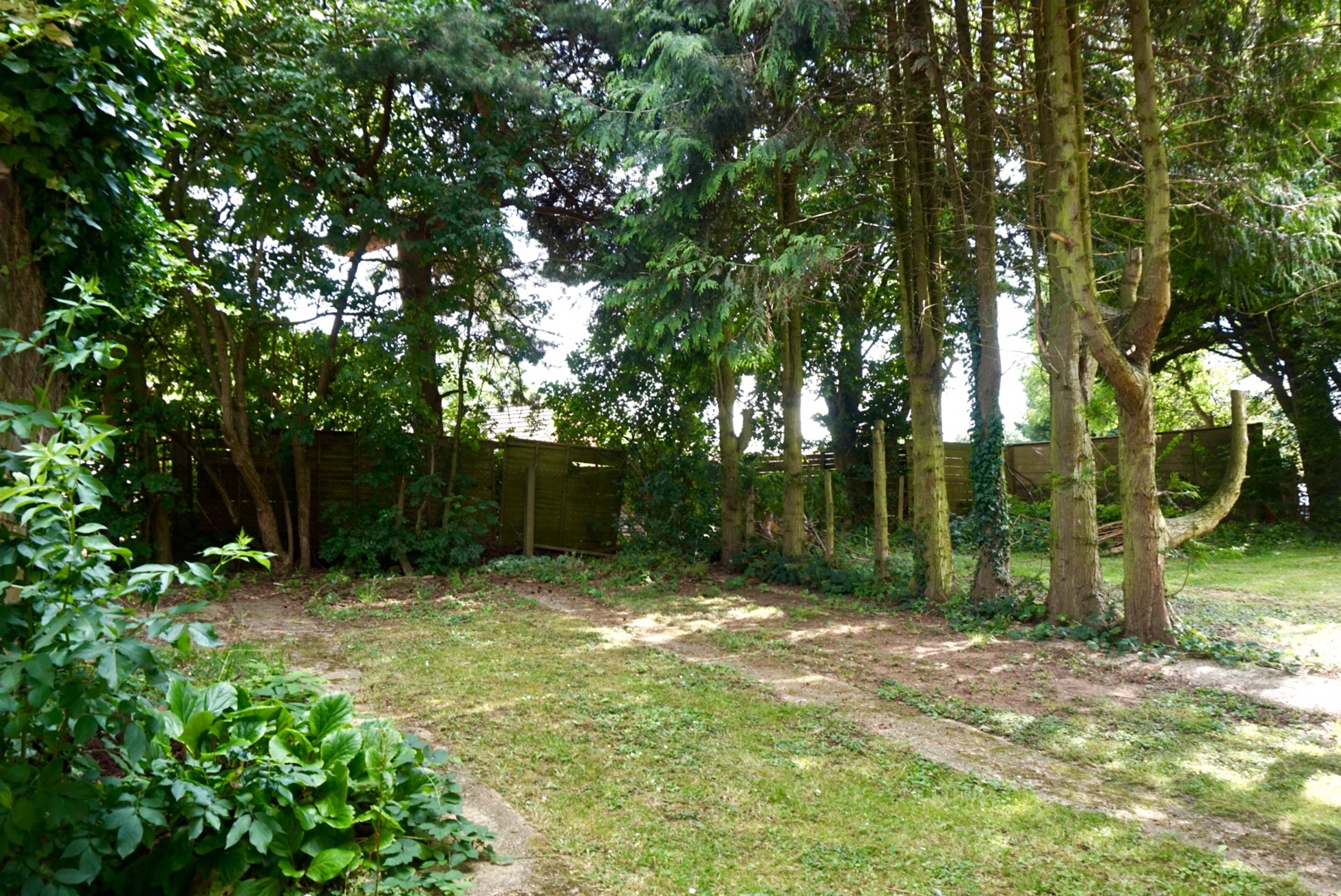 Communal Gardens