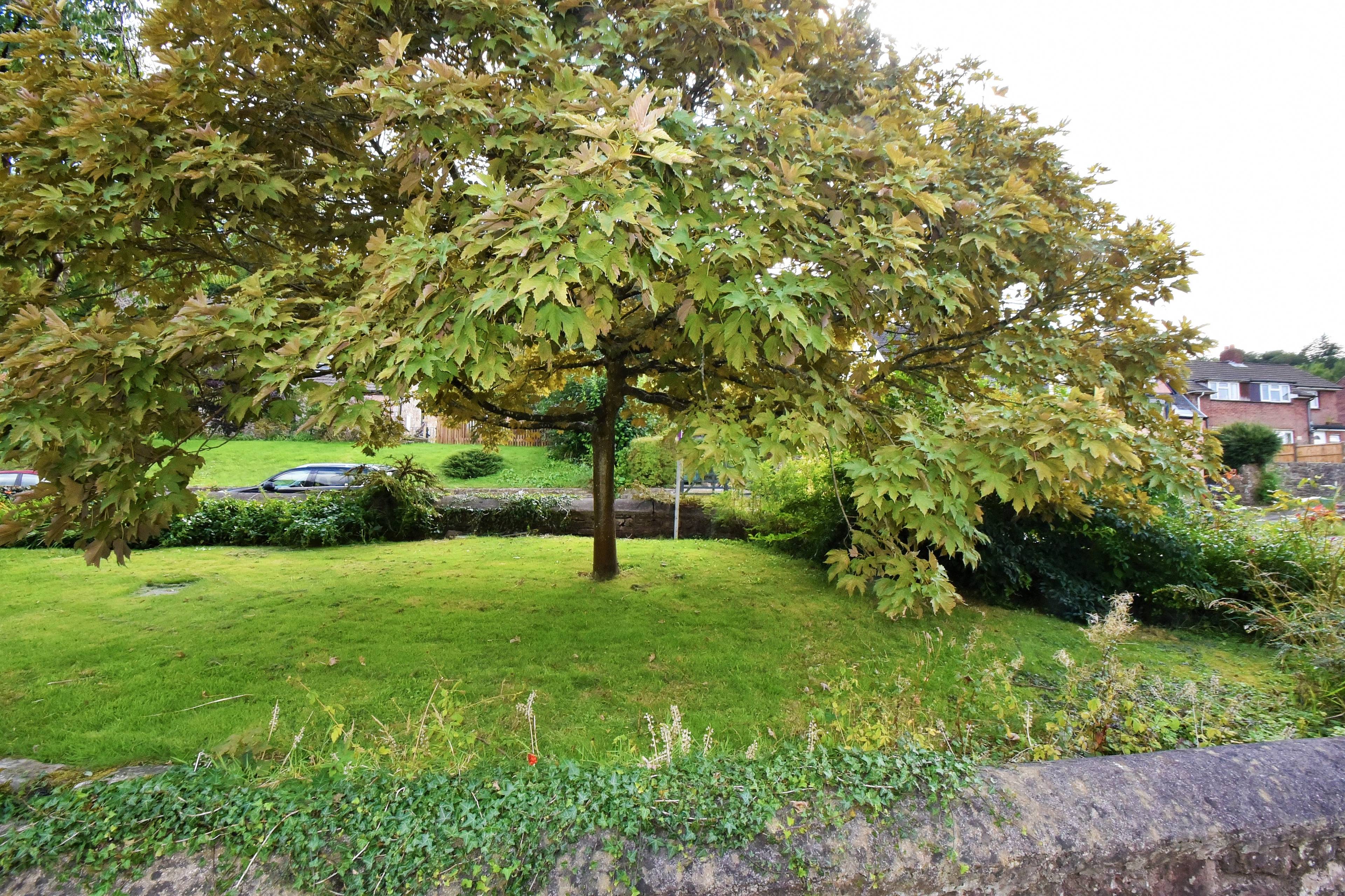 Front Garden