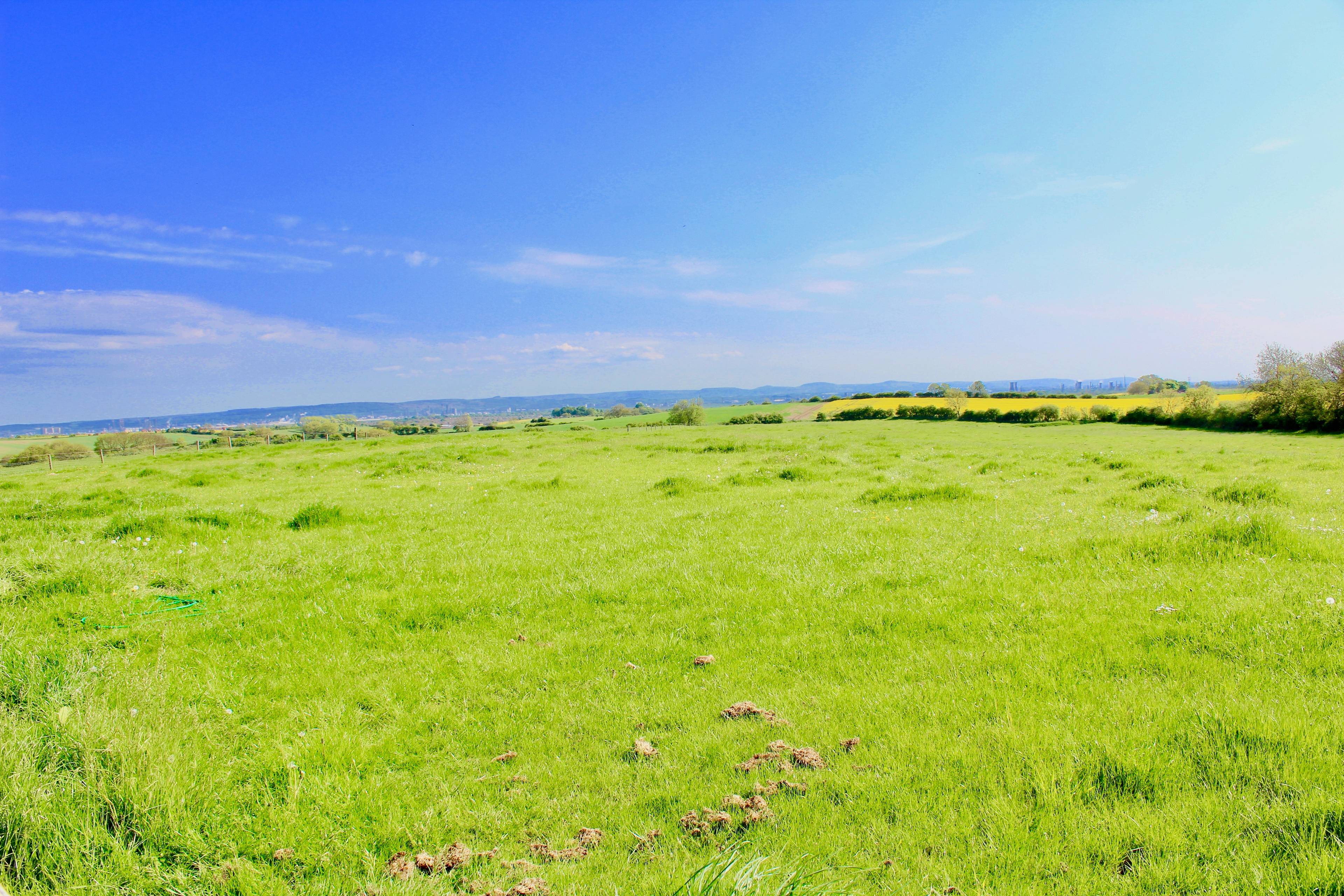 Field