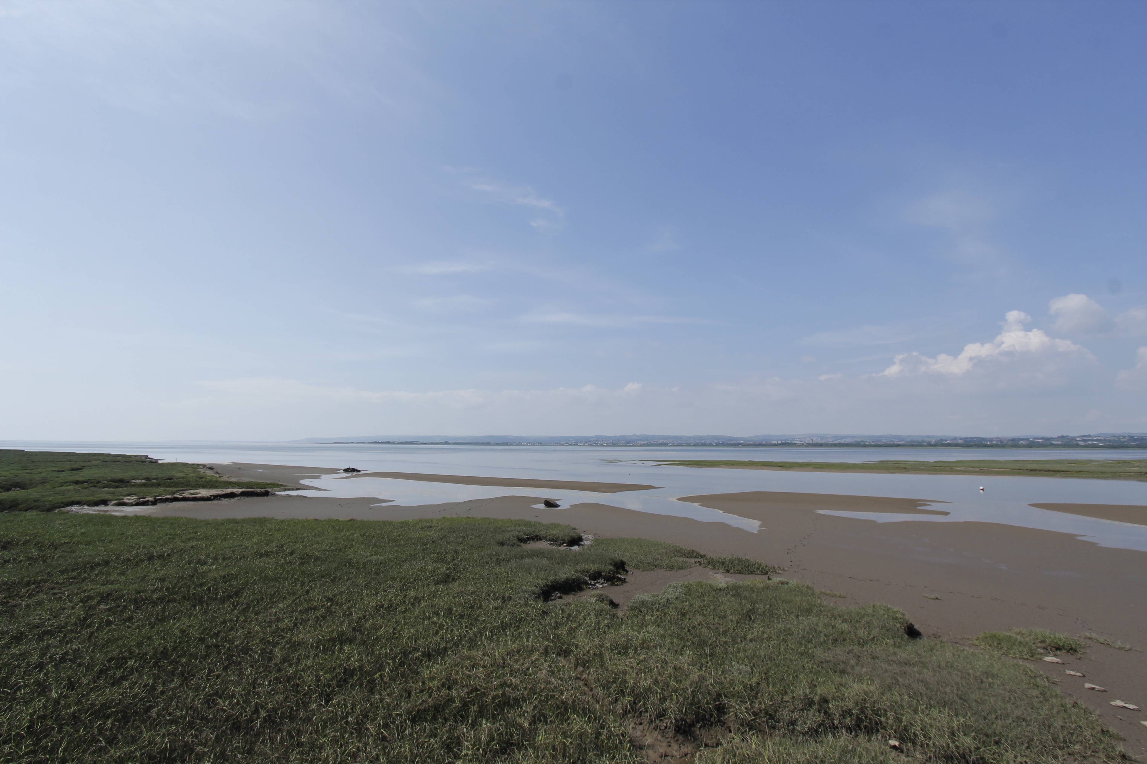 Nearby River