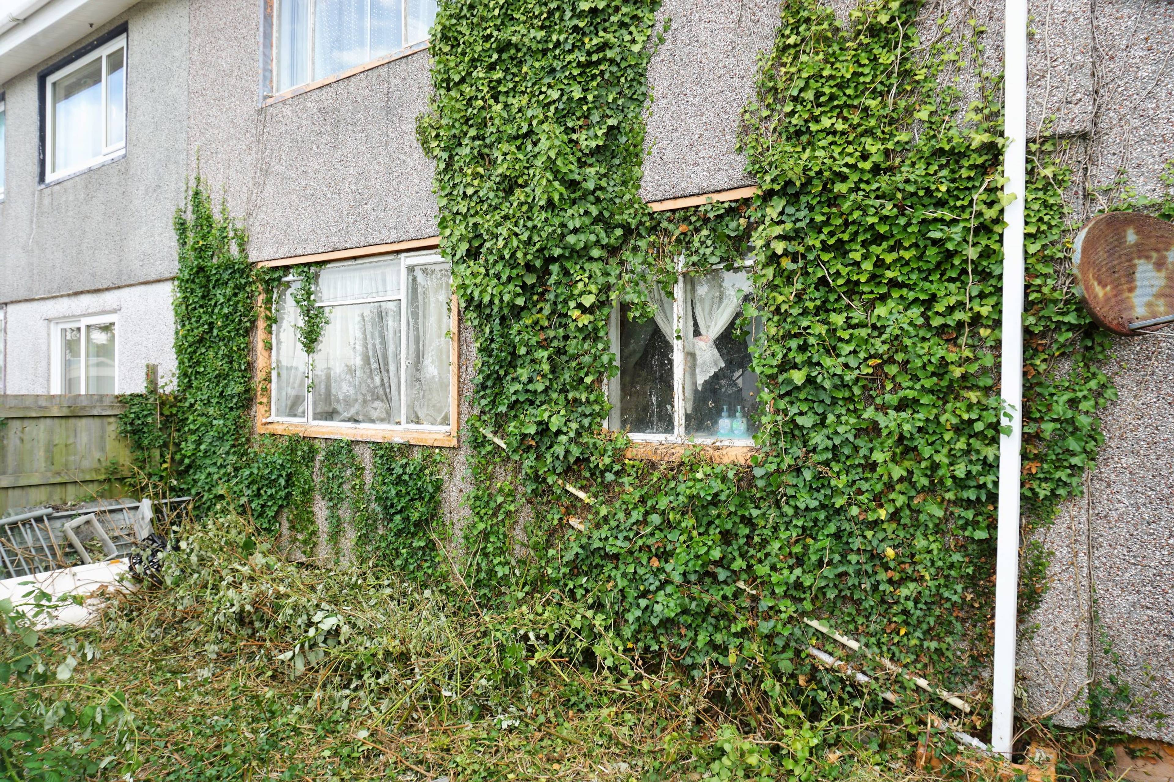Rear View