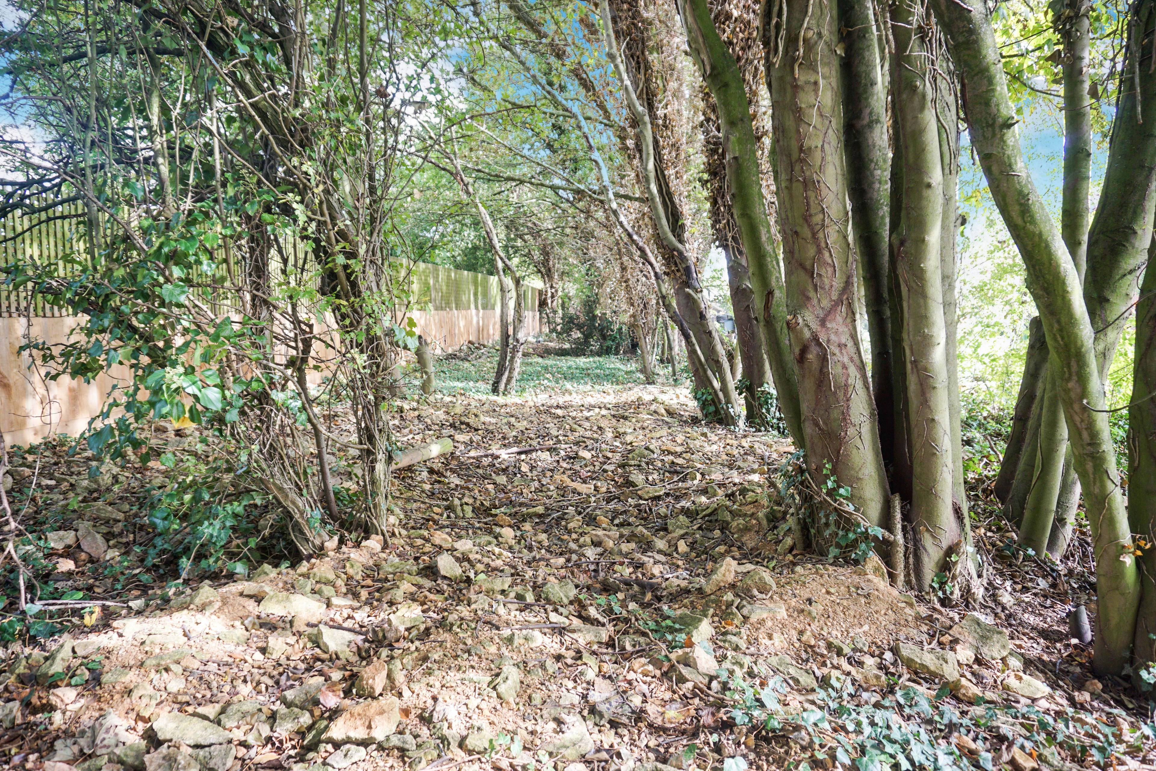 Mature Garden
