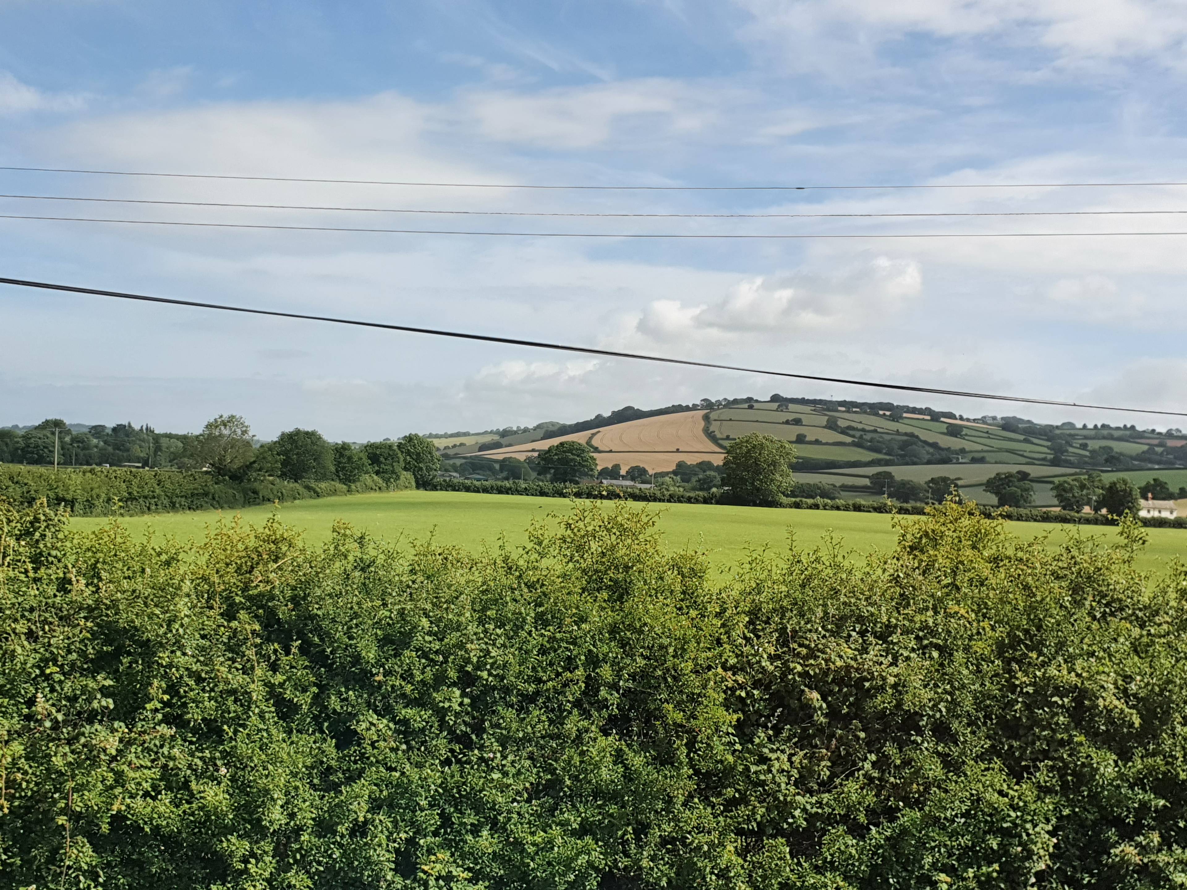 View