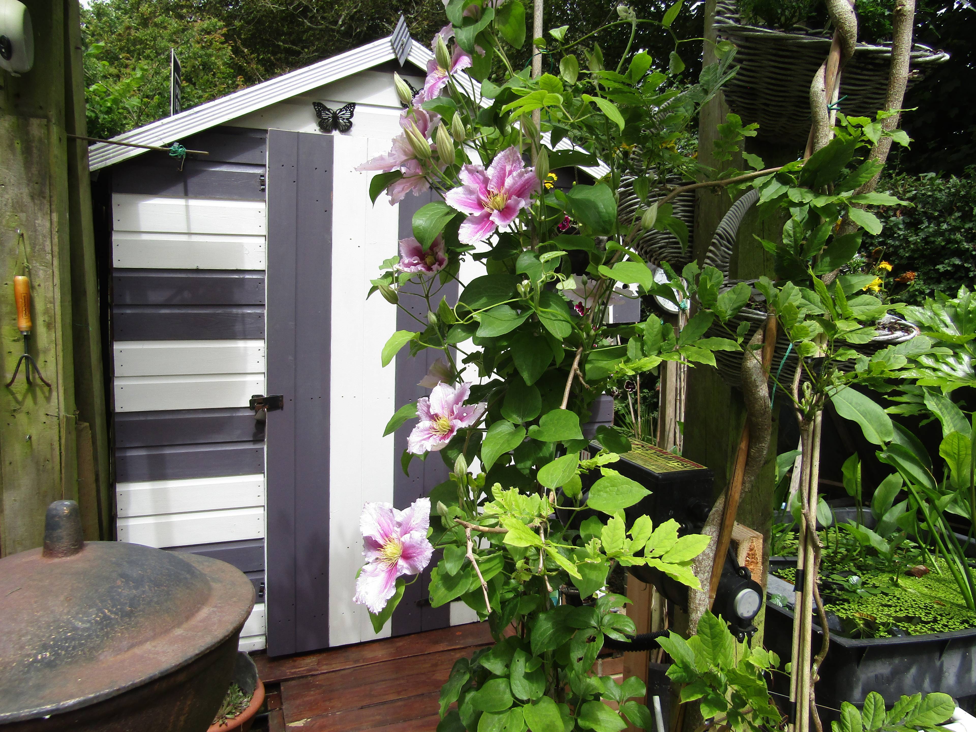 Garden Store