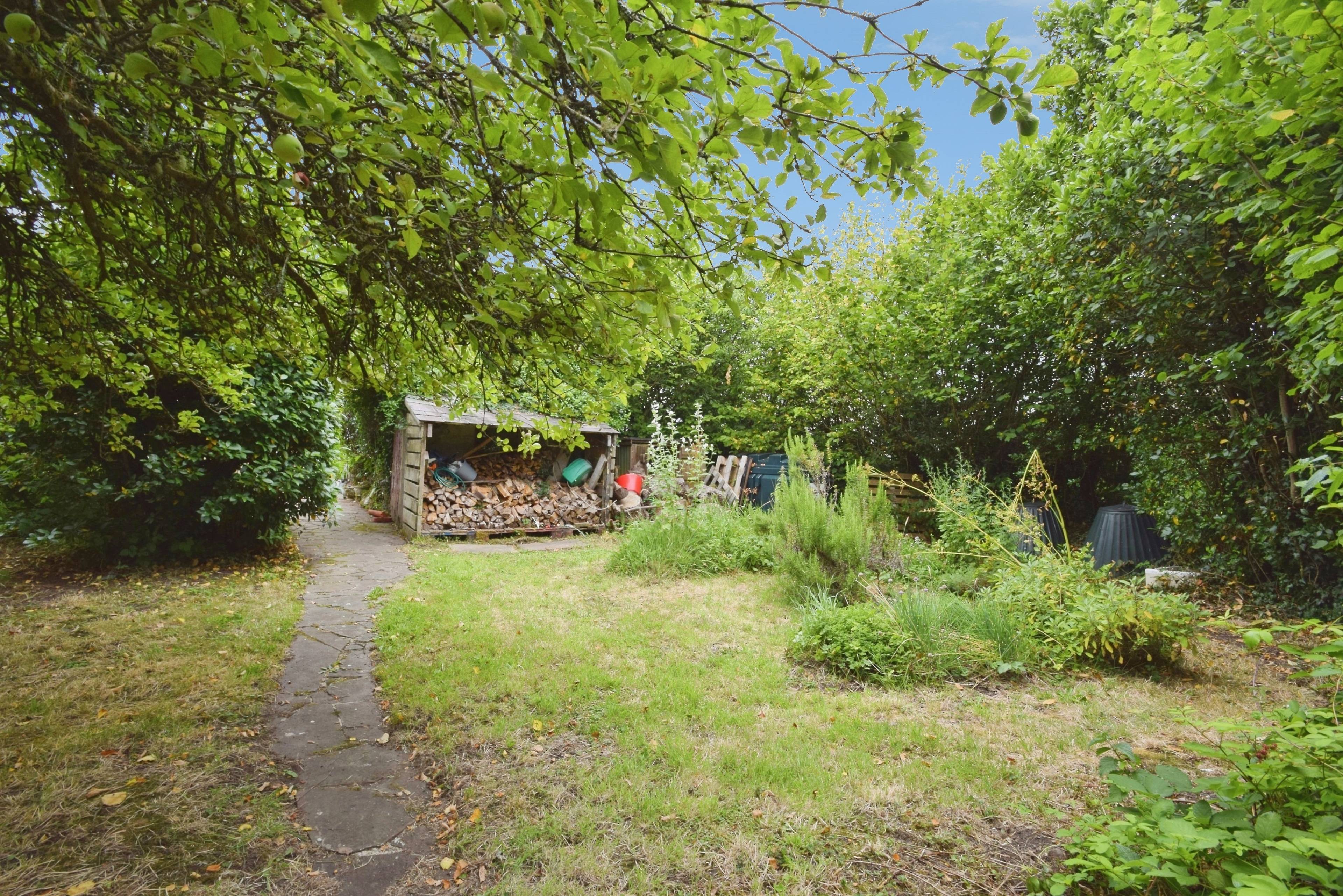 Shed