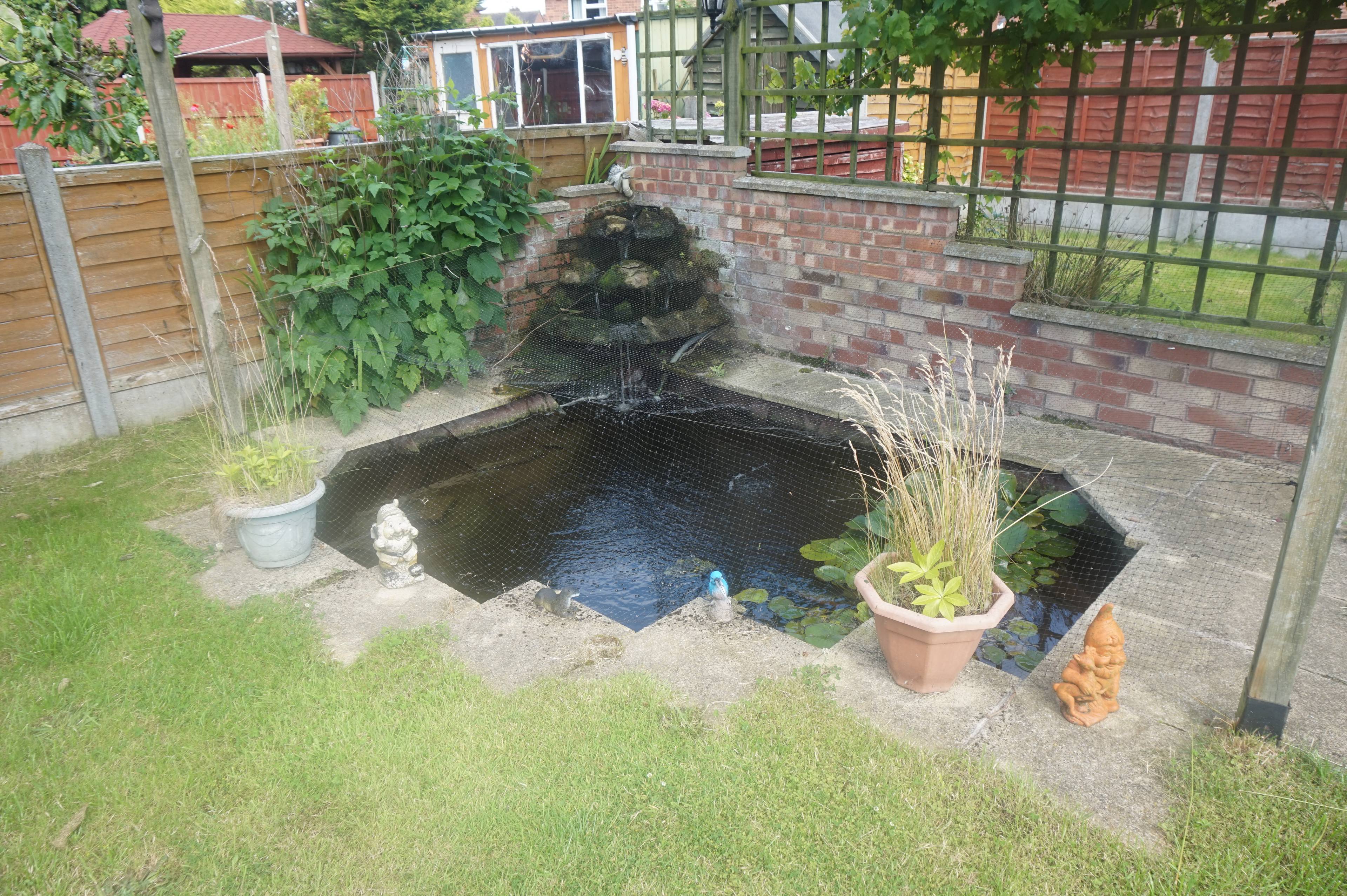 Pond