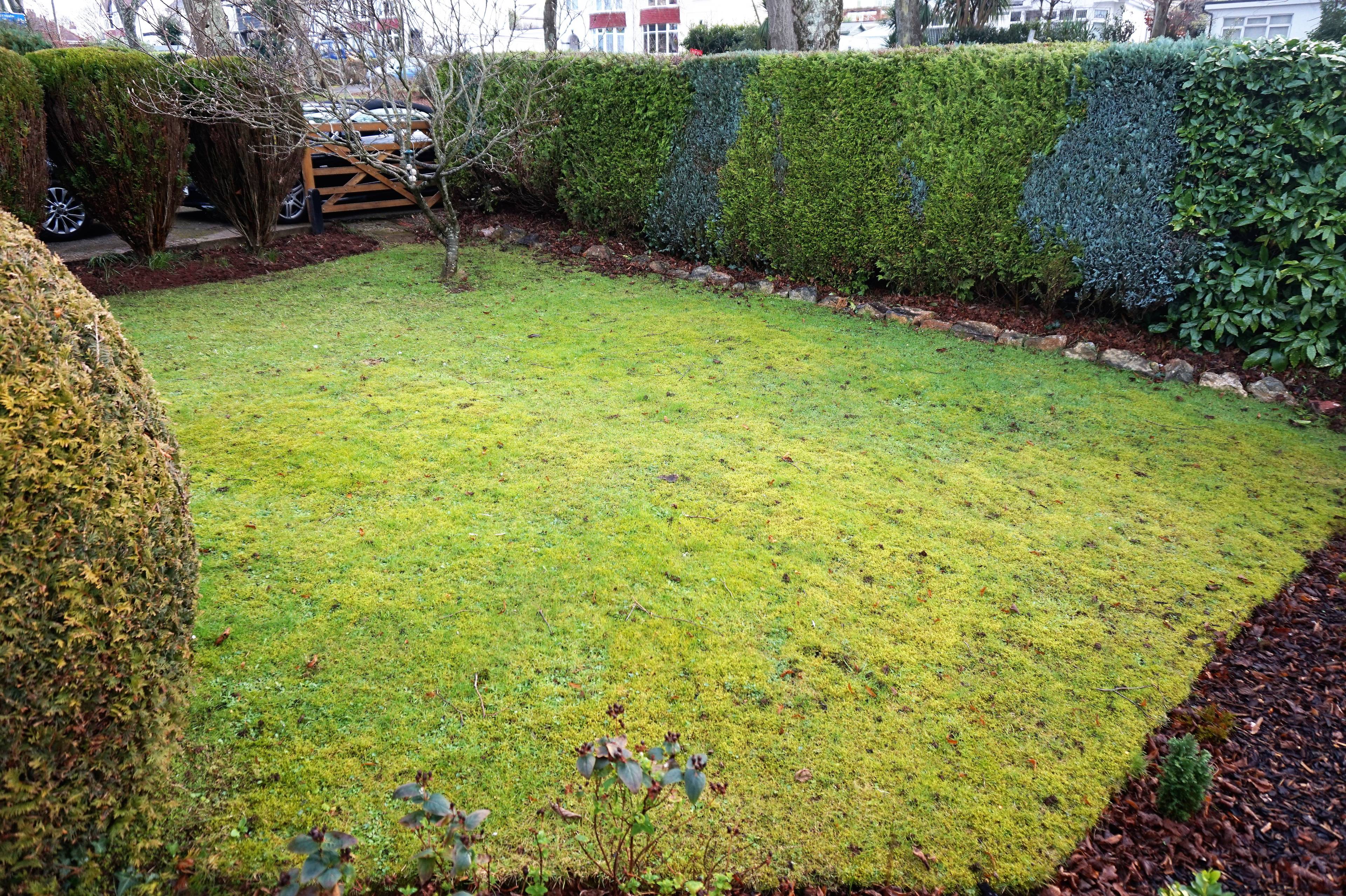 Front Garden