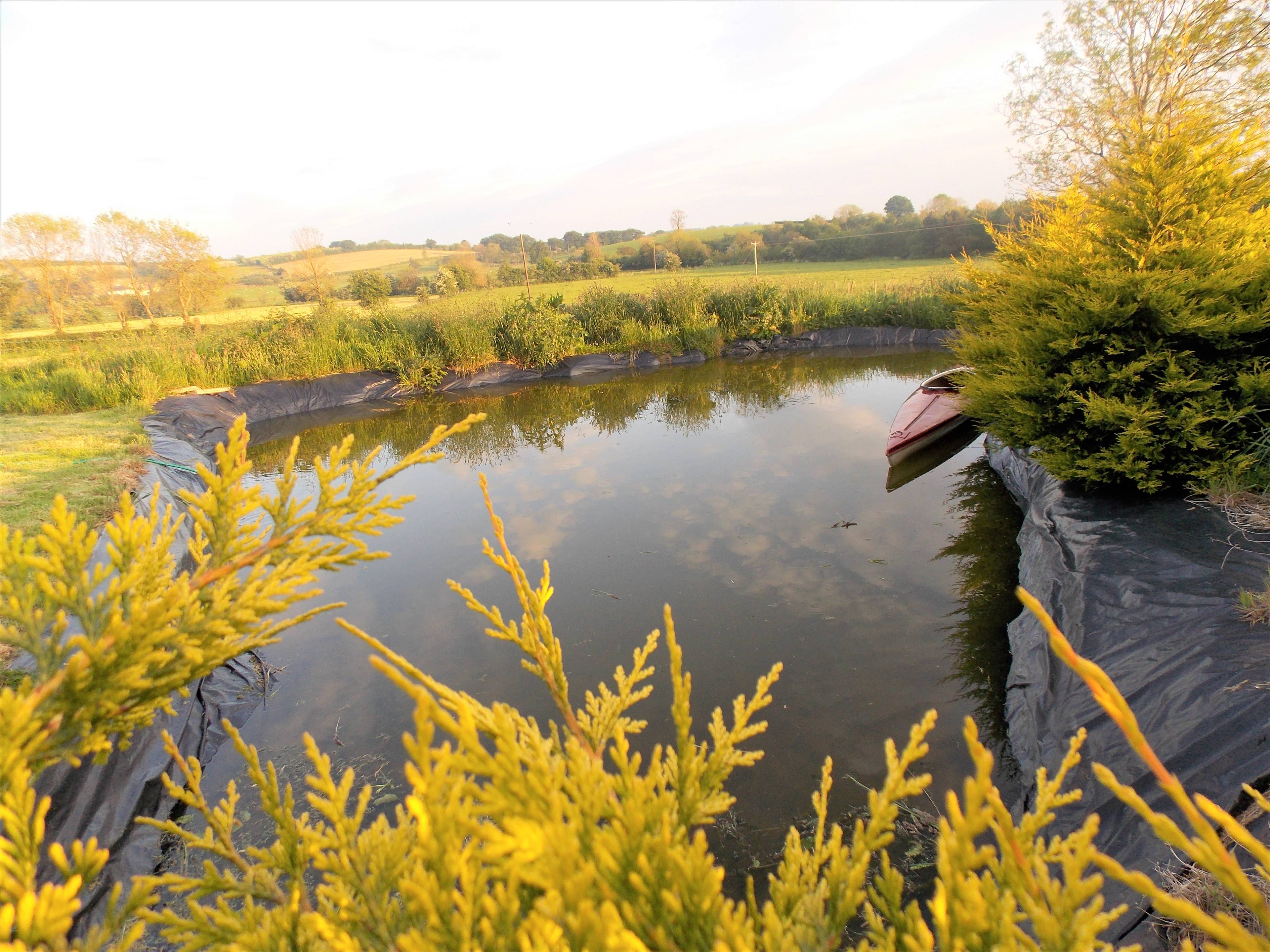 Pond
