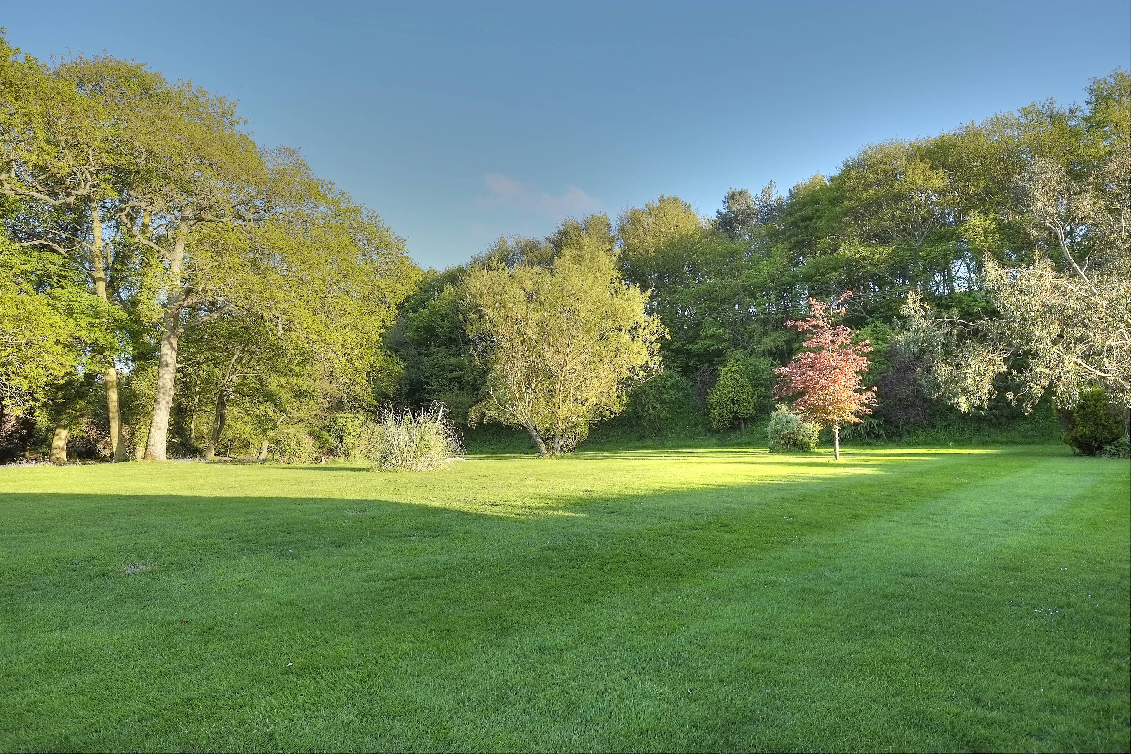 Grounds