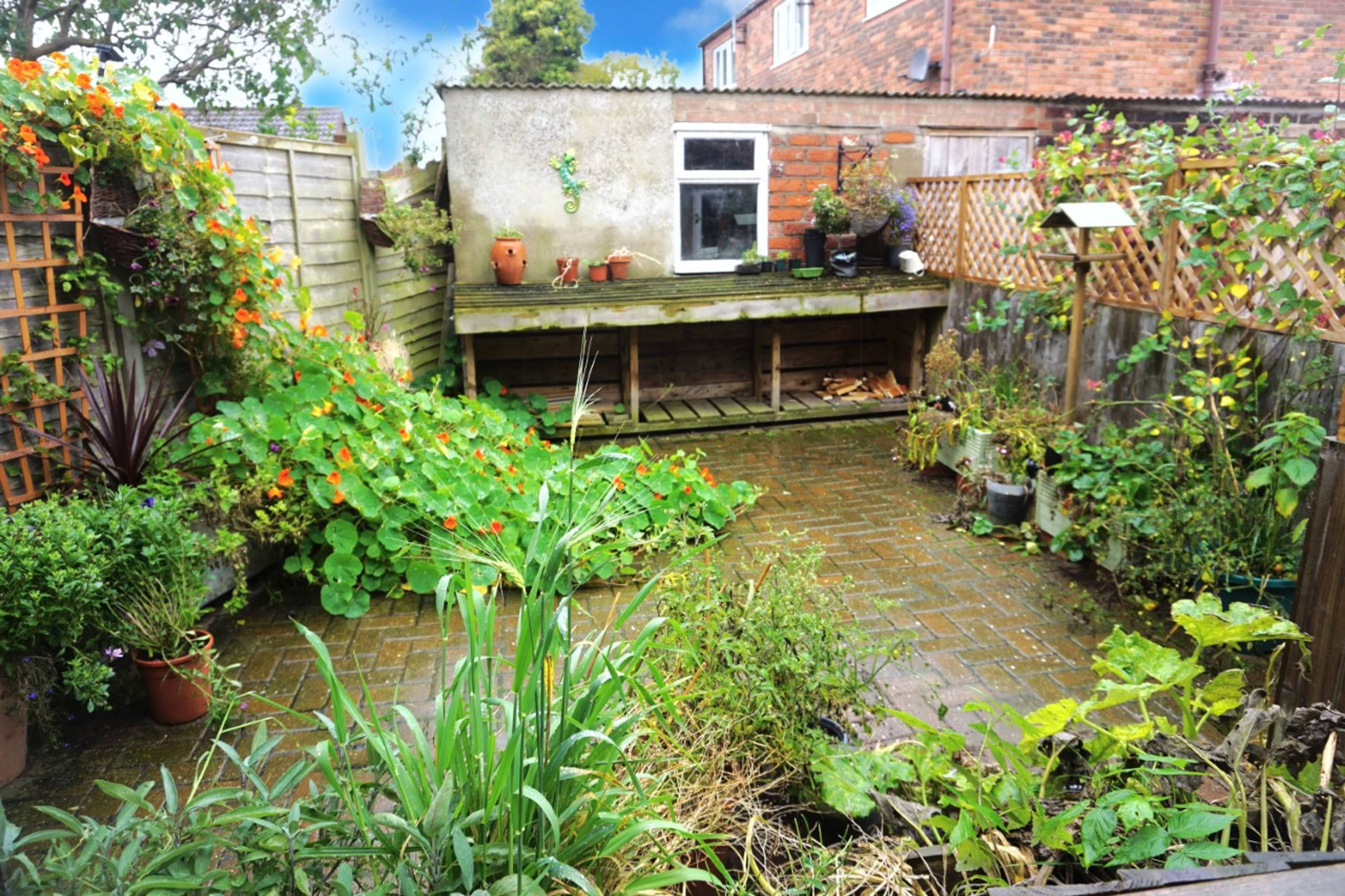 Garden