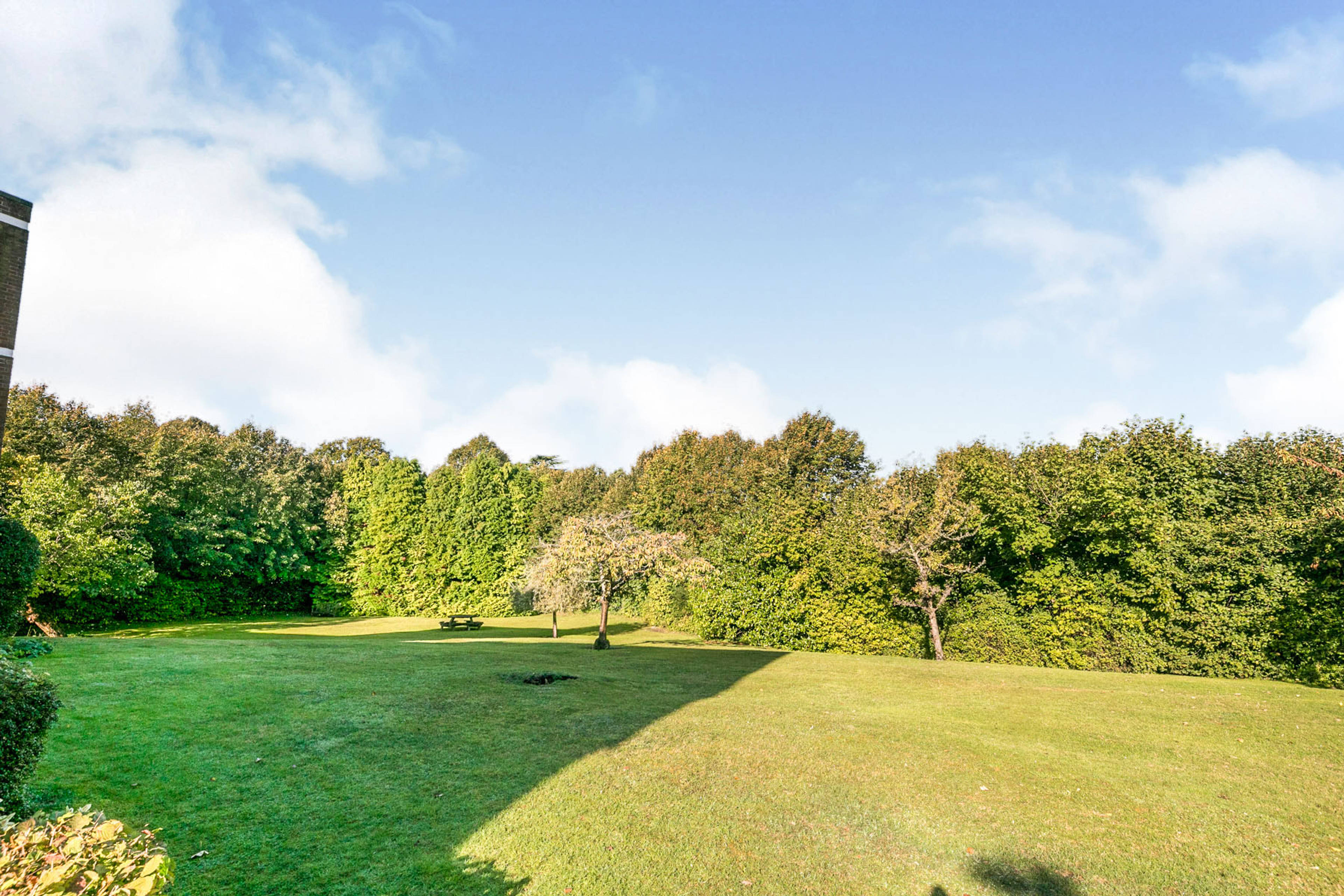 Grounds