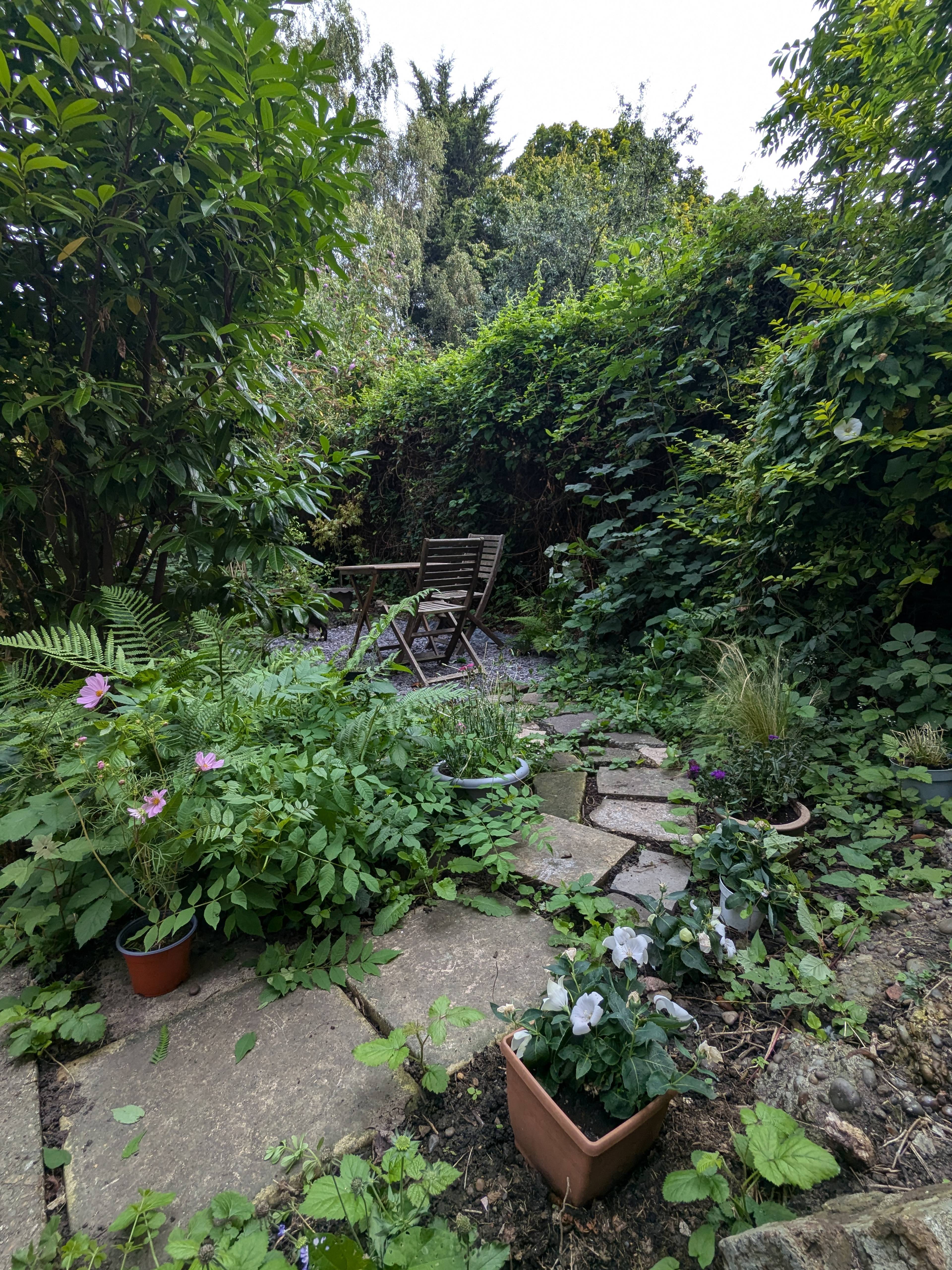 Communal Gardens