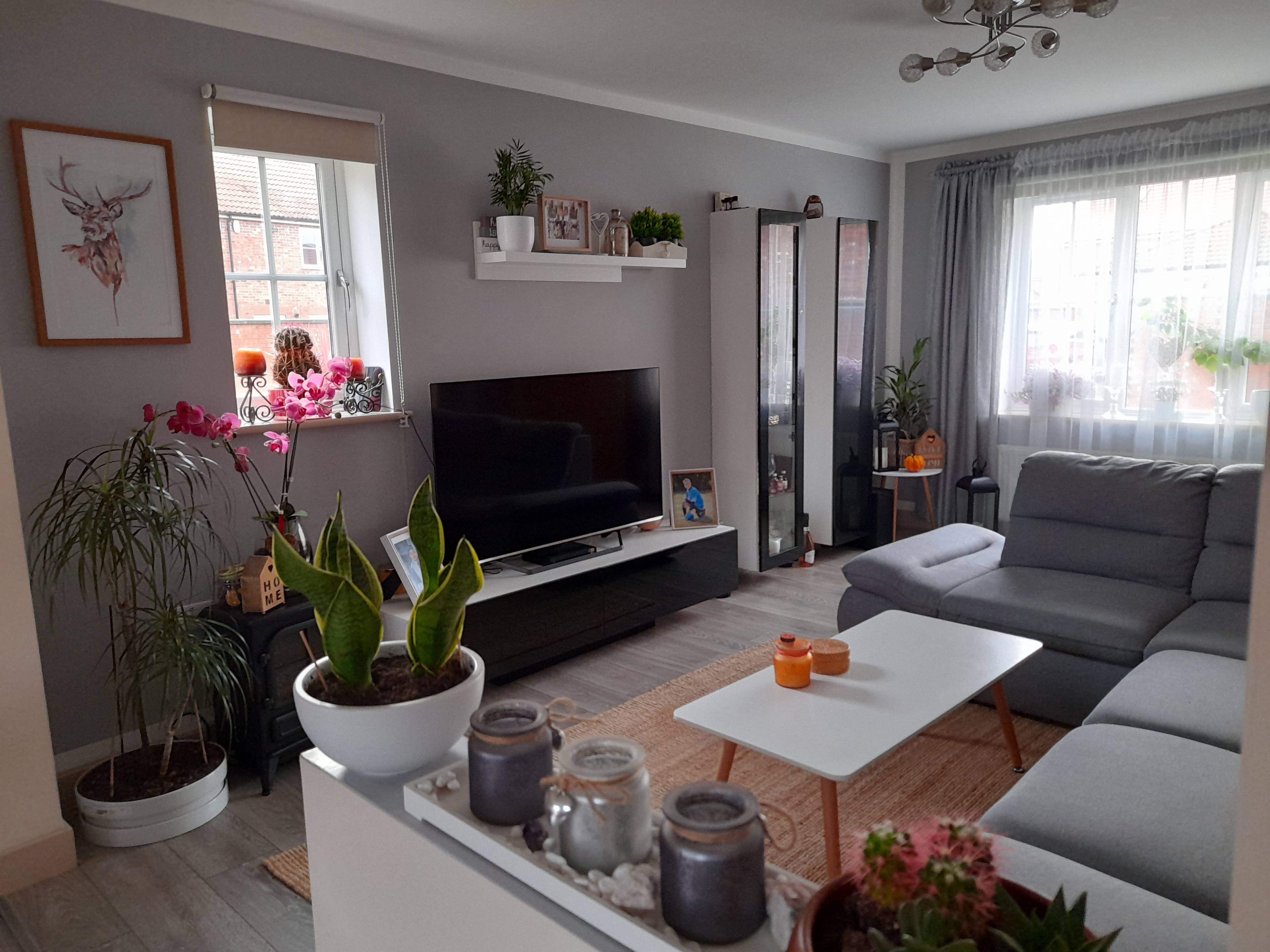 Open Plan Living