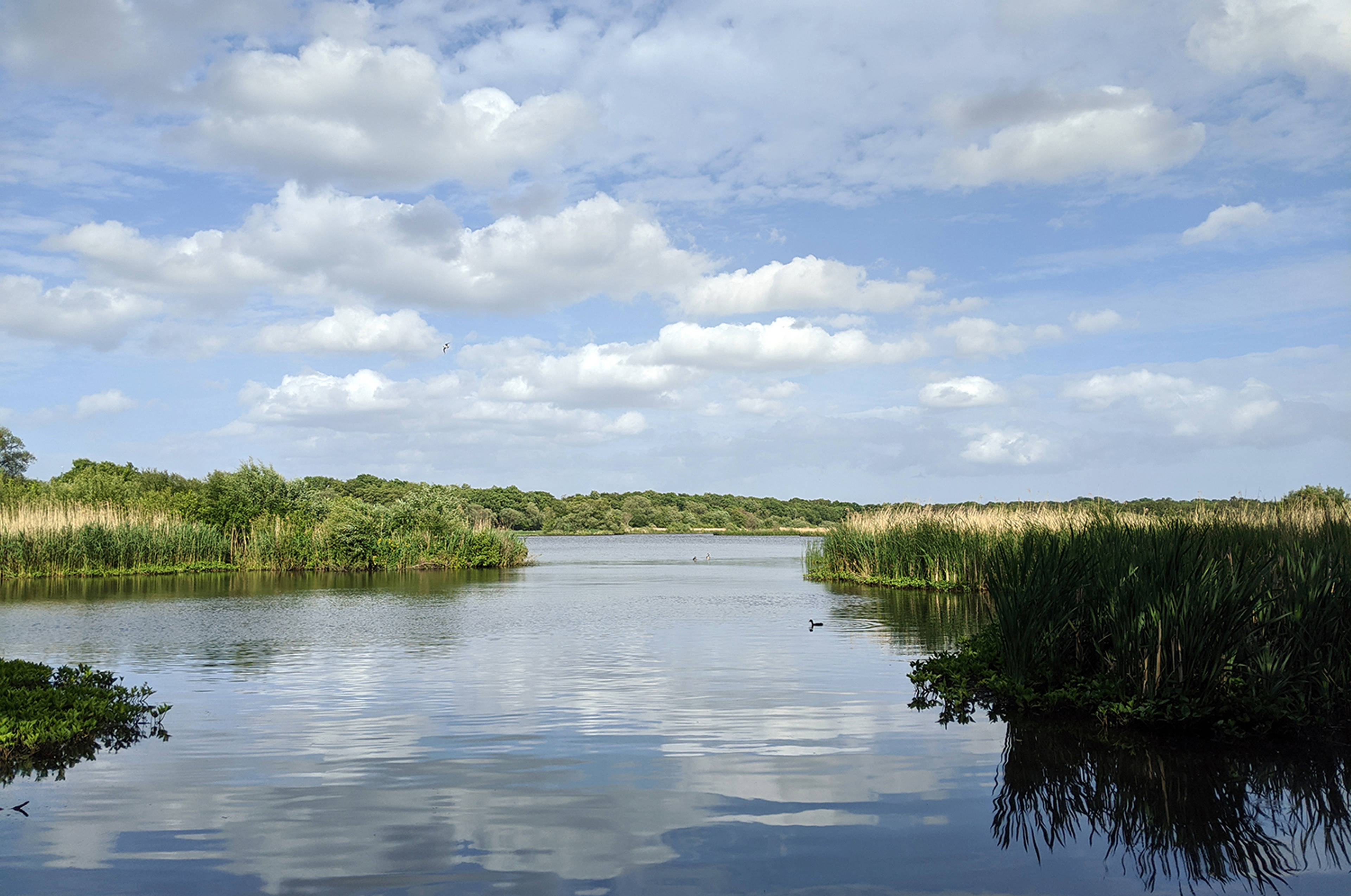 Nature Reserve
