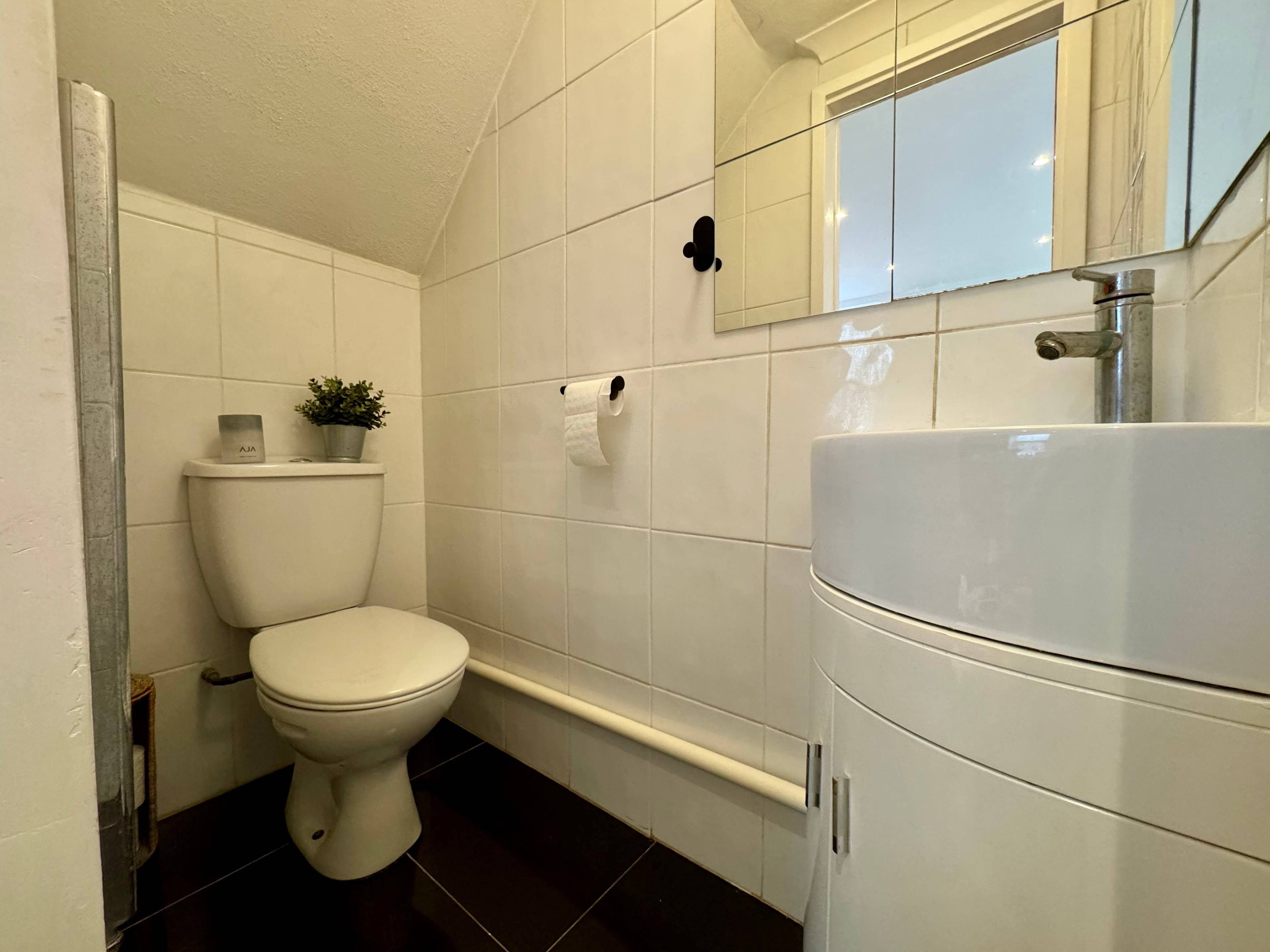 Downstairs Bathroom