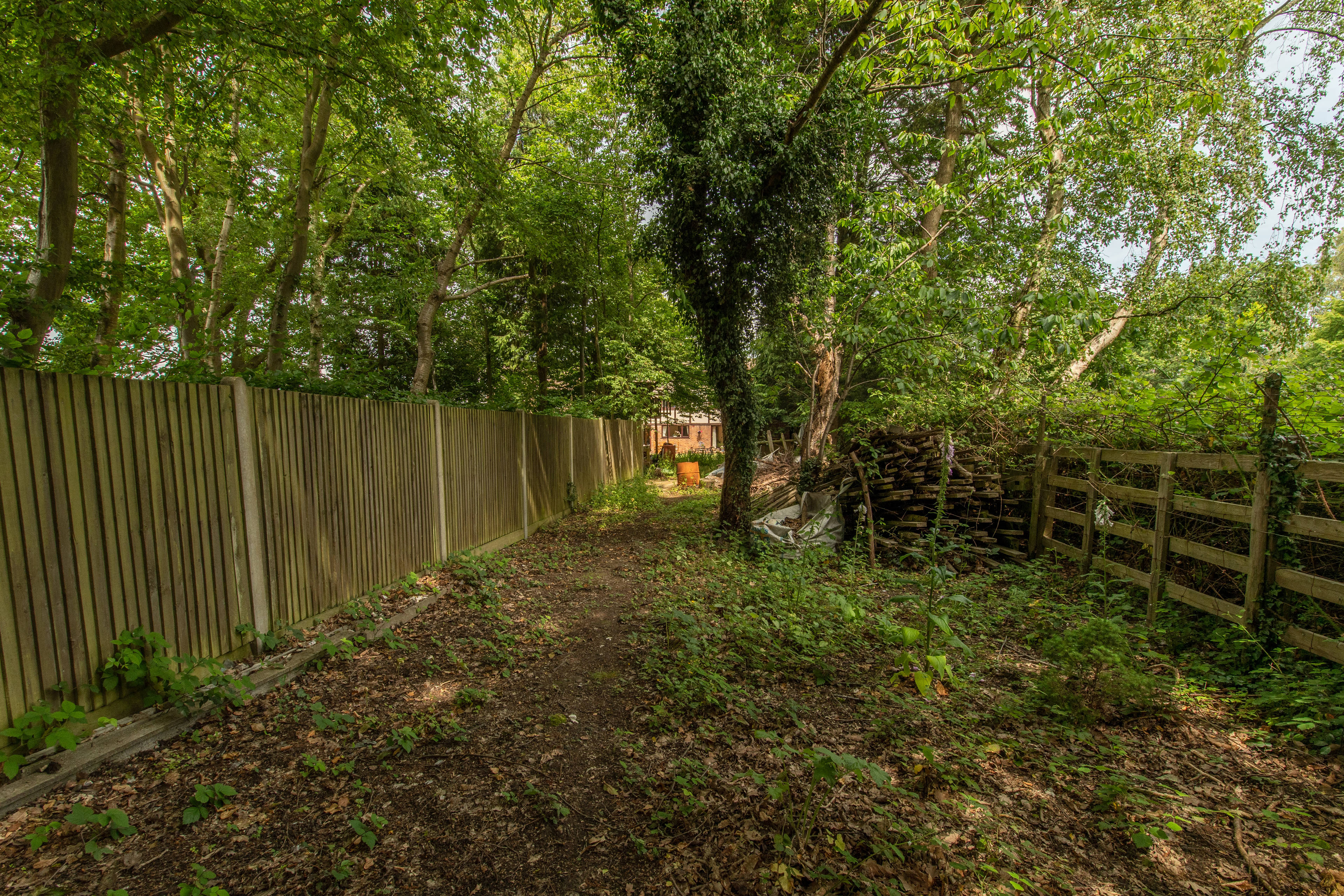 Woodland