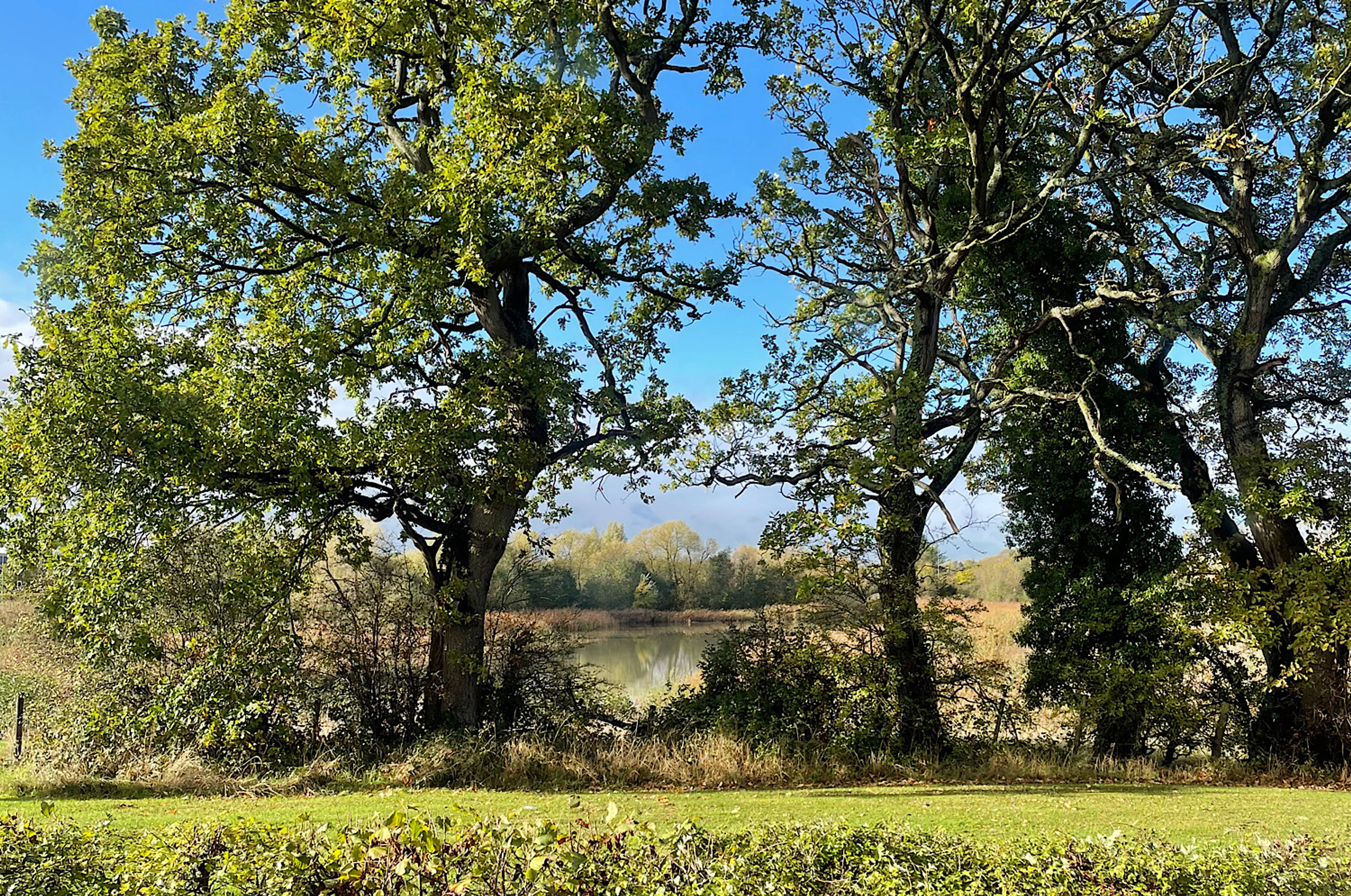 Outside