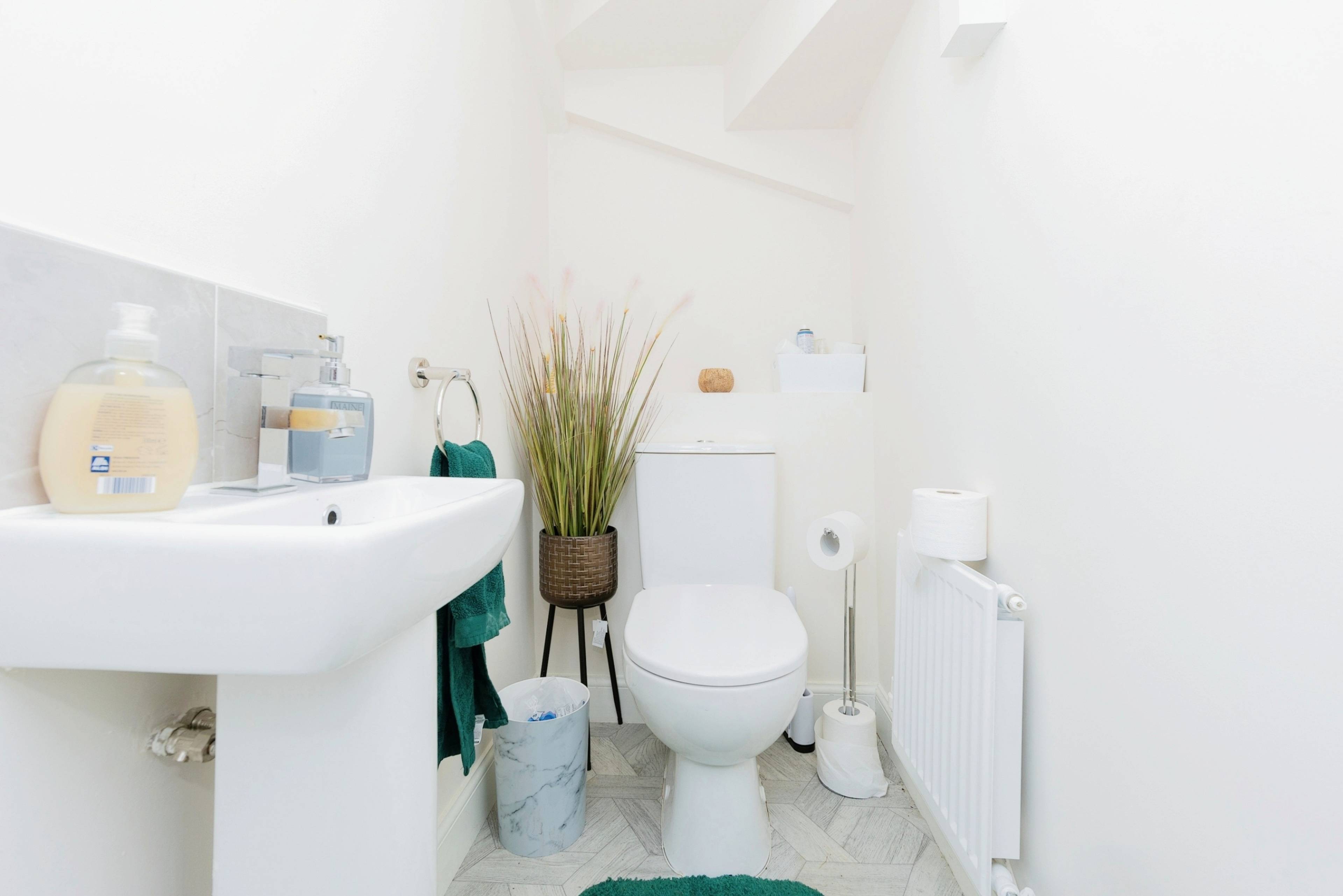 Downstairs Bathroom