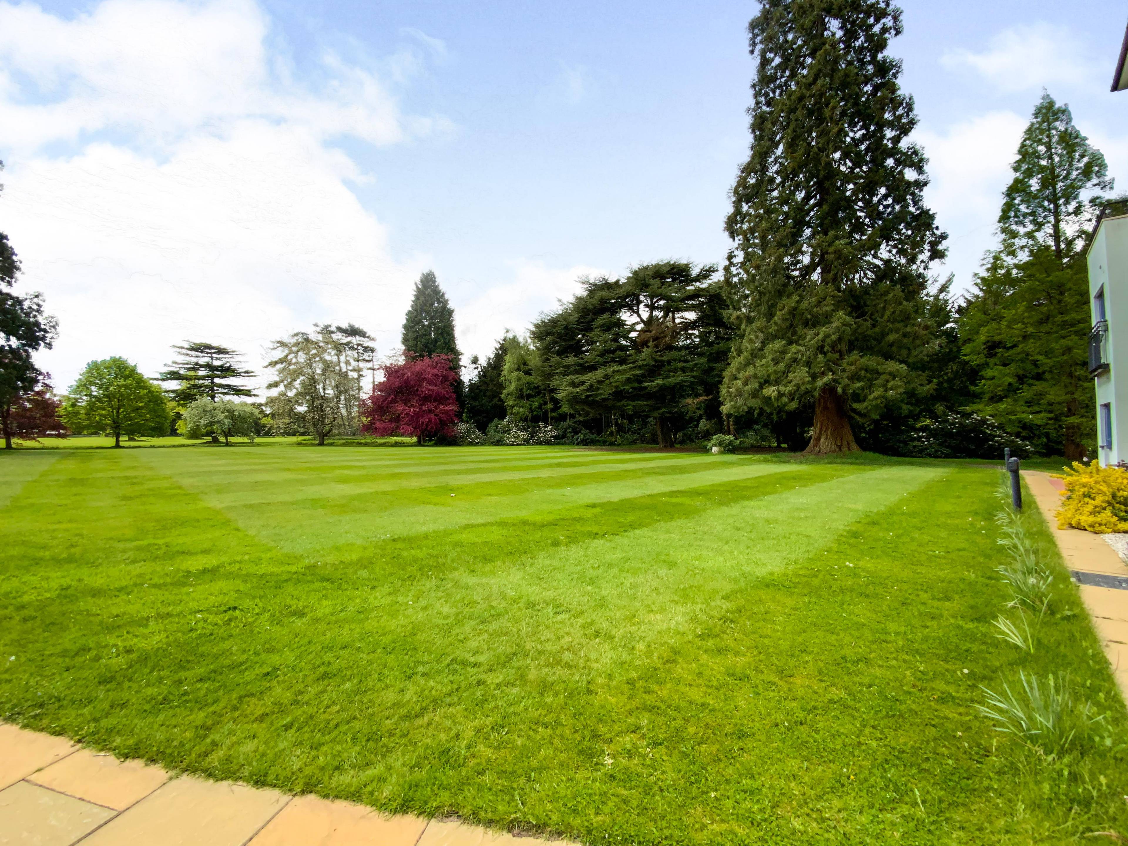 Communal Gardens