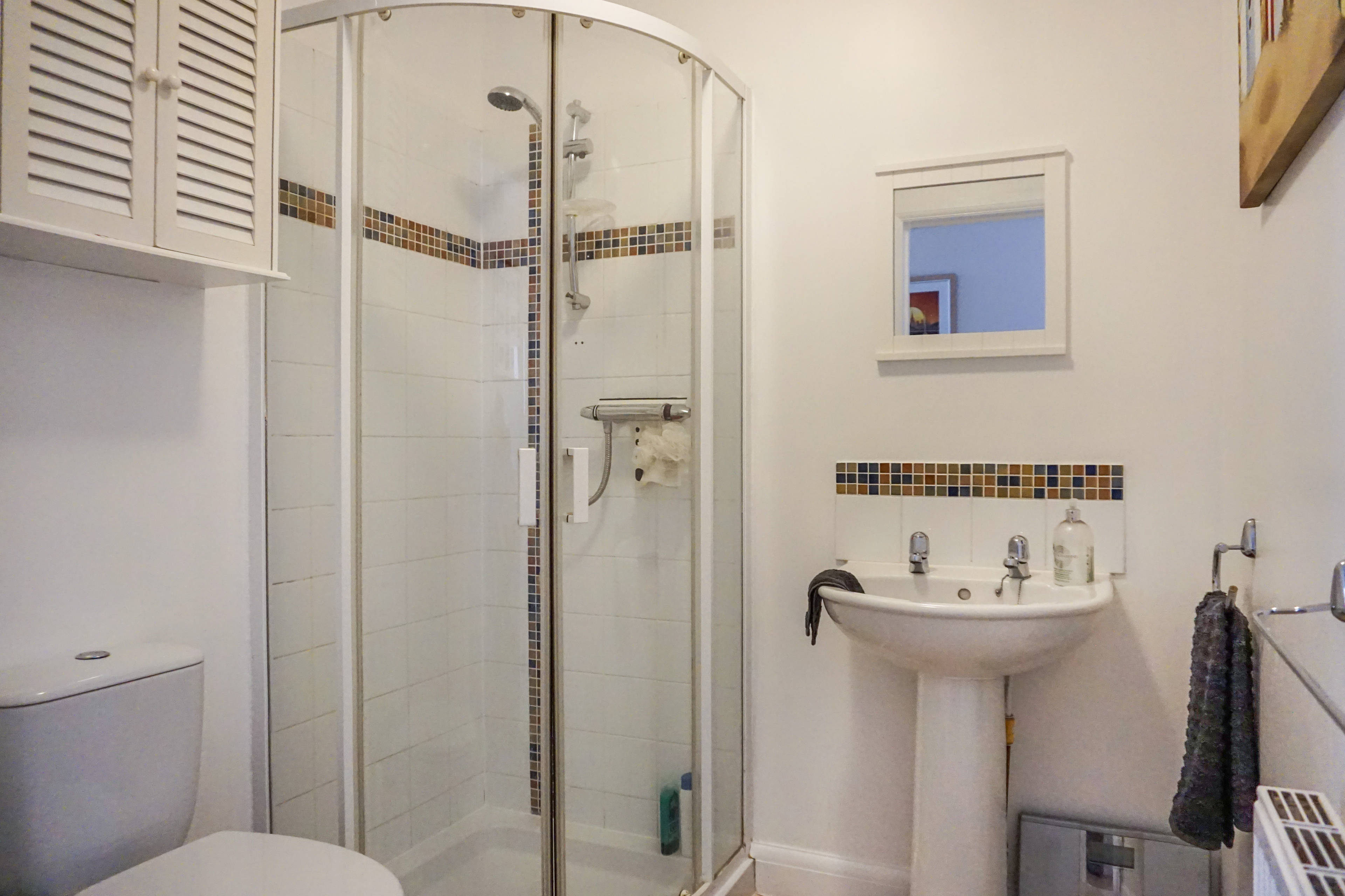 Downstairs Shower