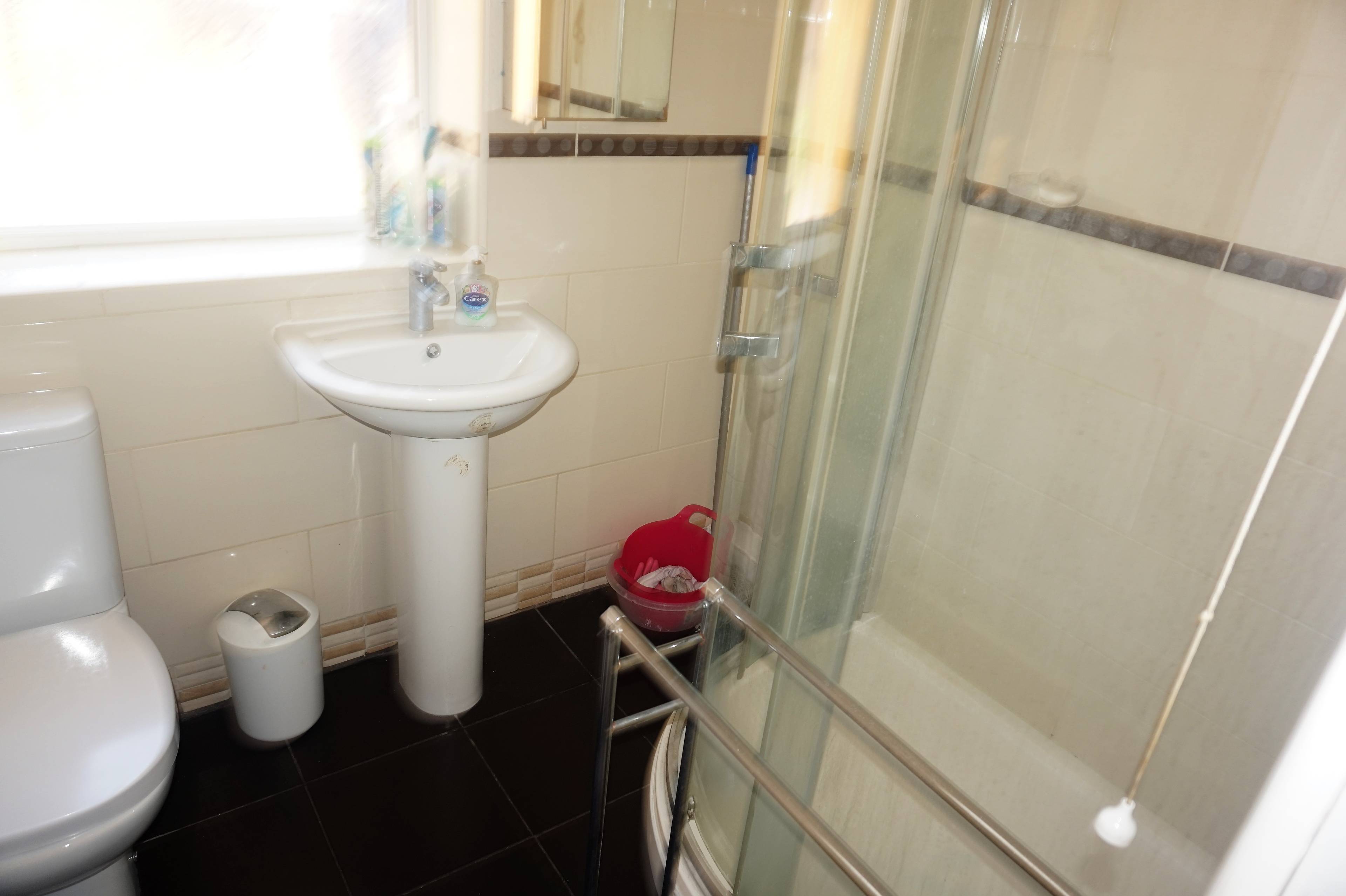 Downstairs Shower