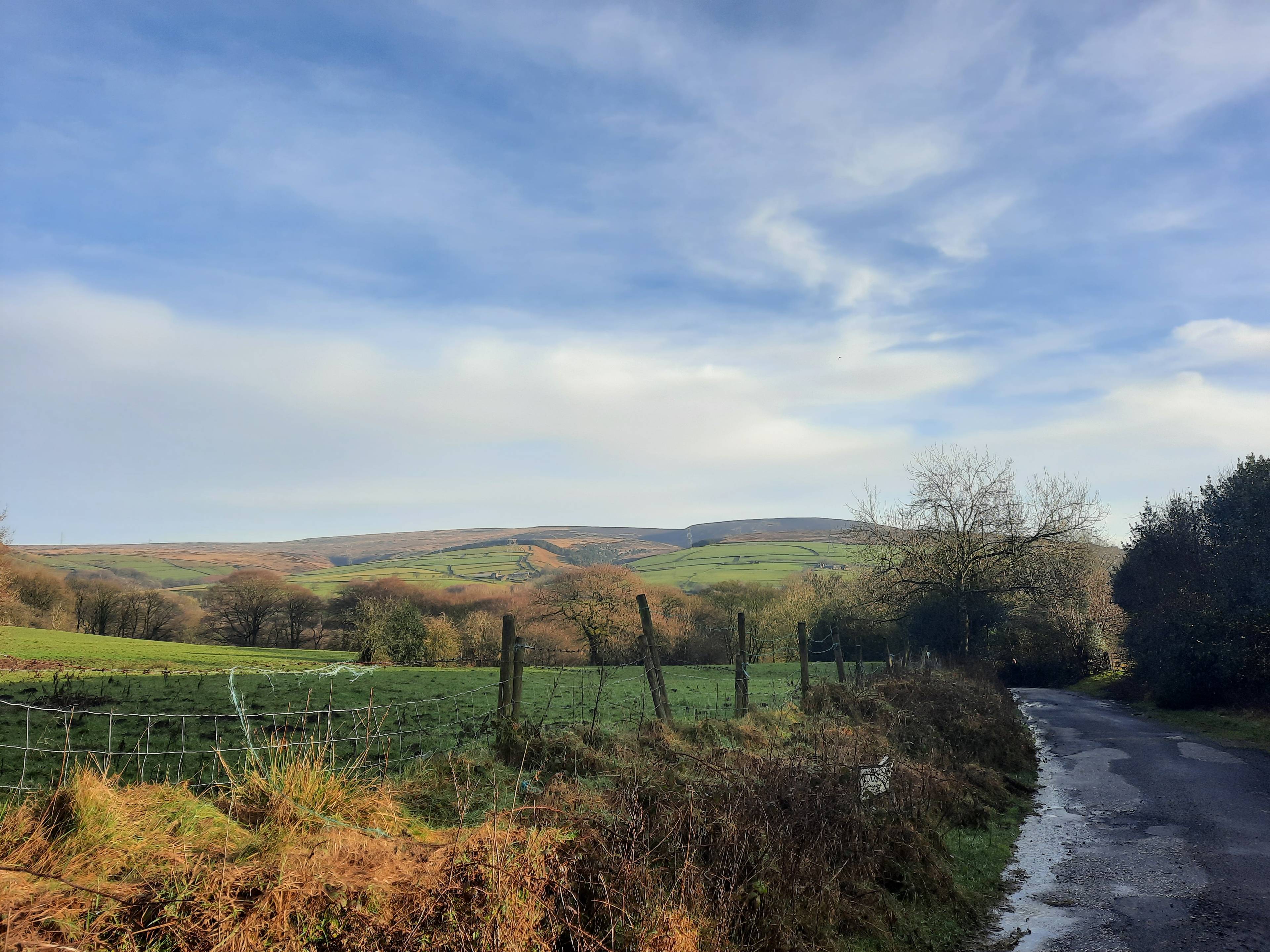 Surrounding Area