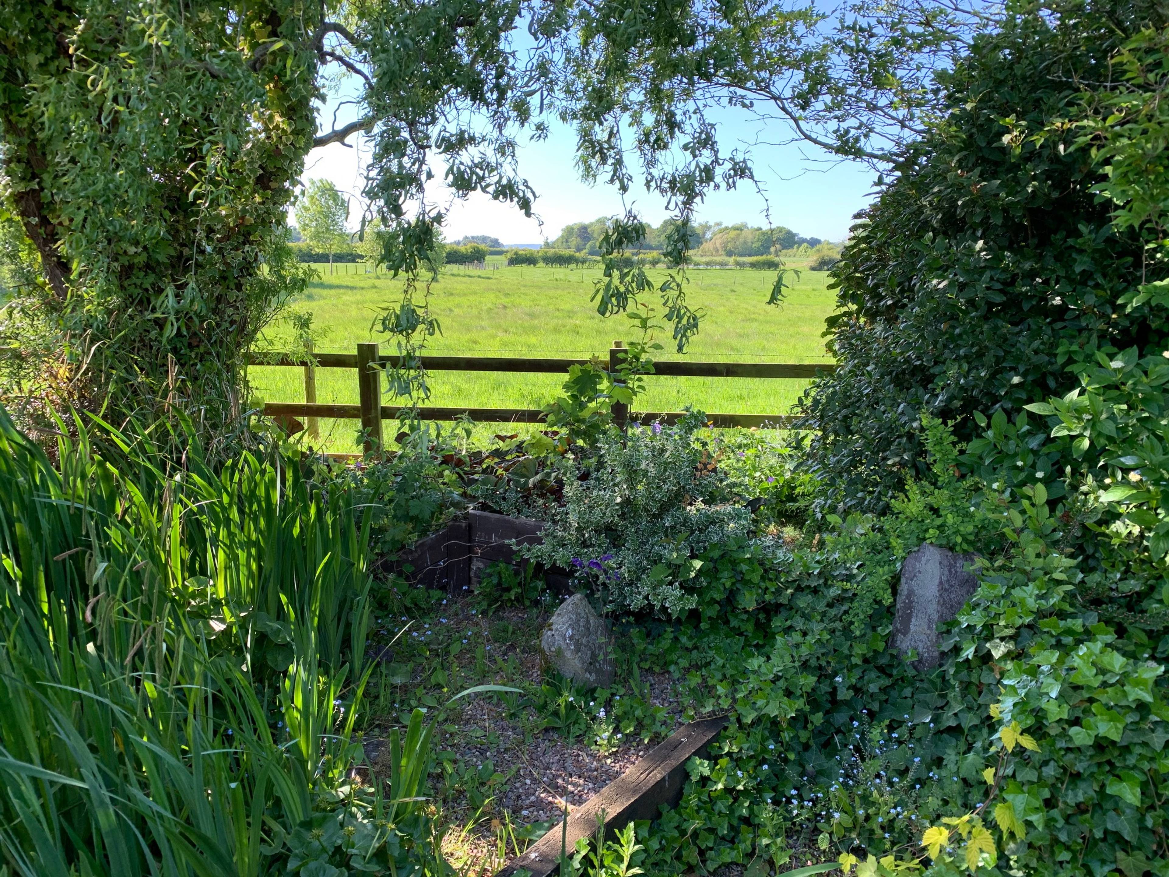 Side Garden