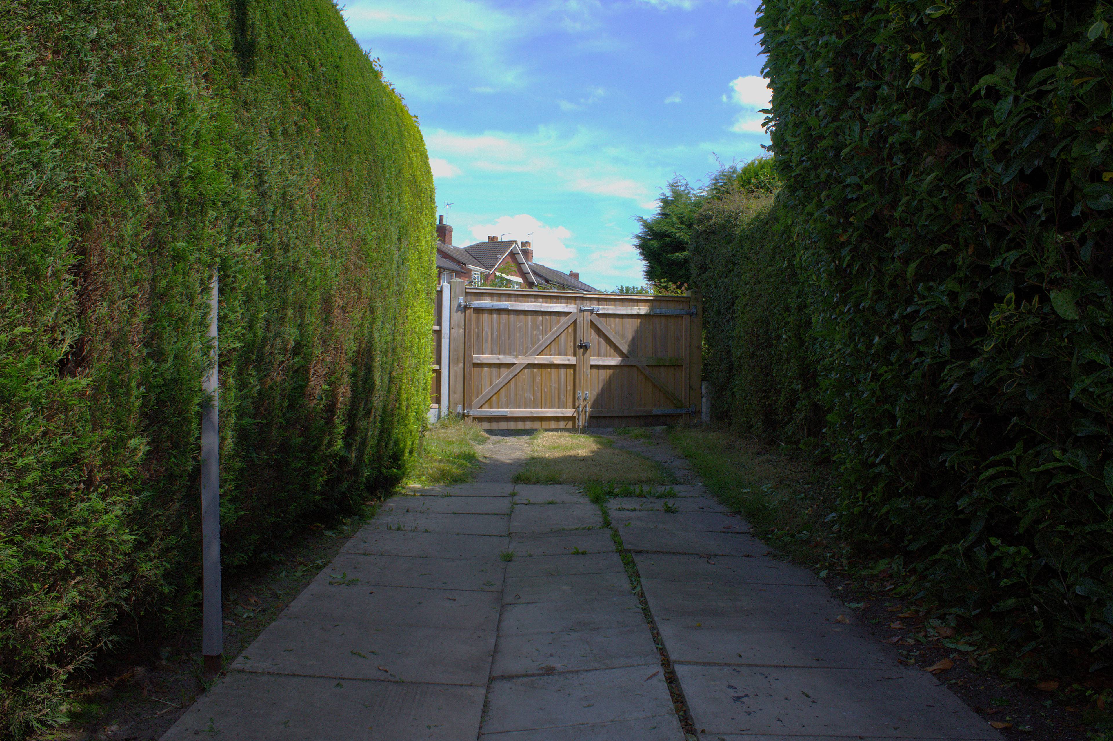 Driveway