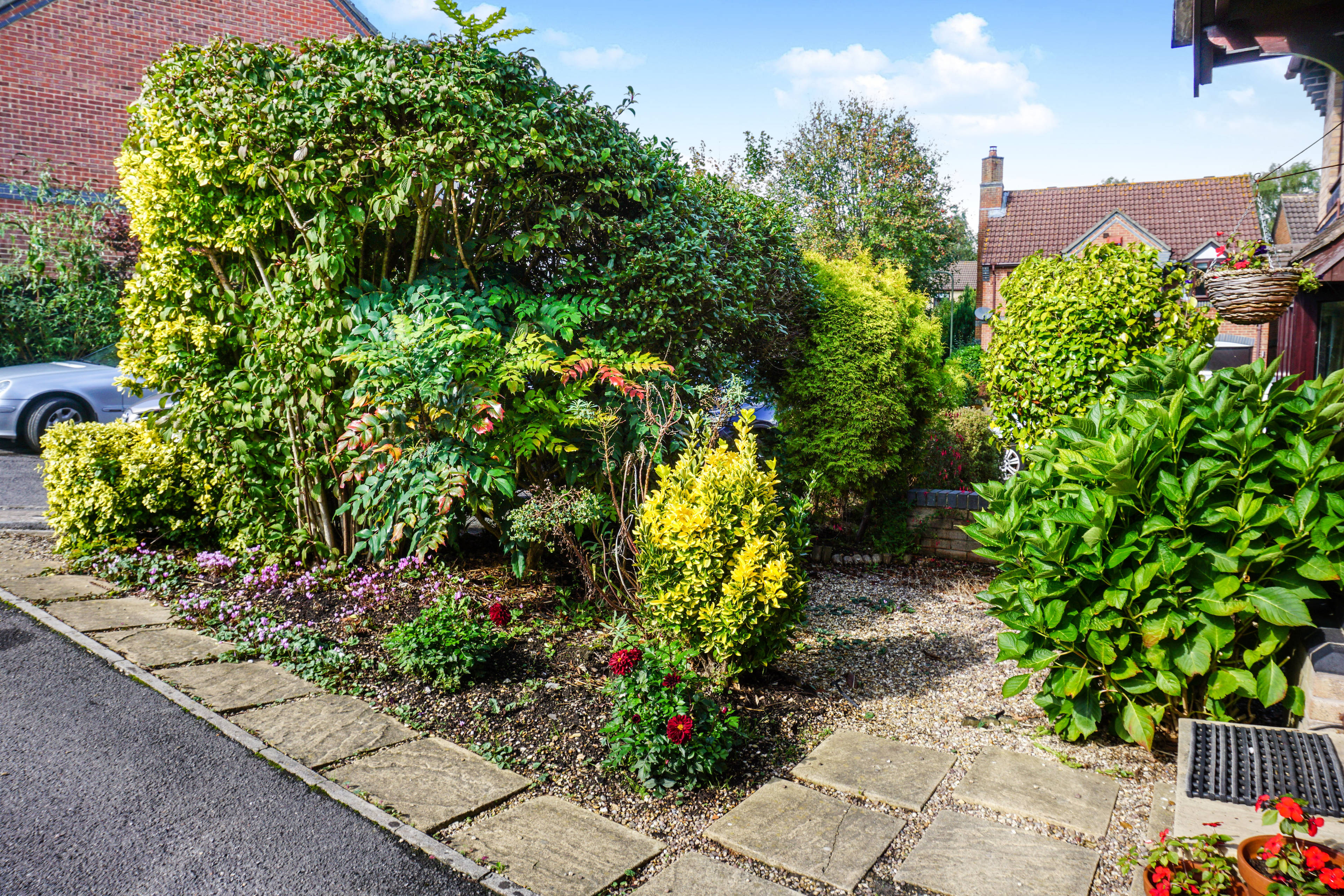 Front Garden