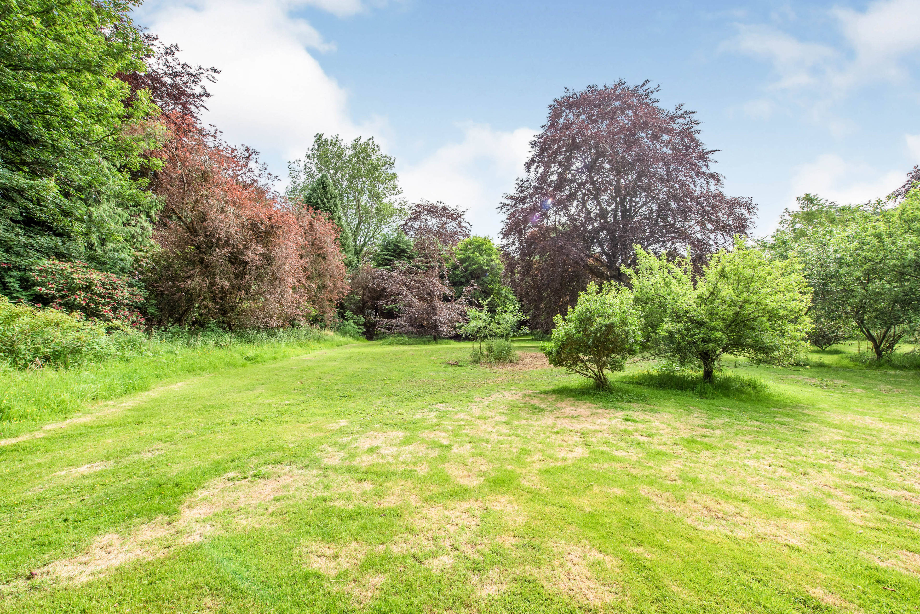 Grounds