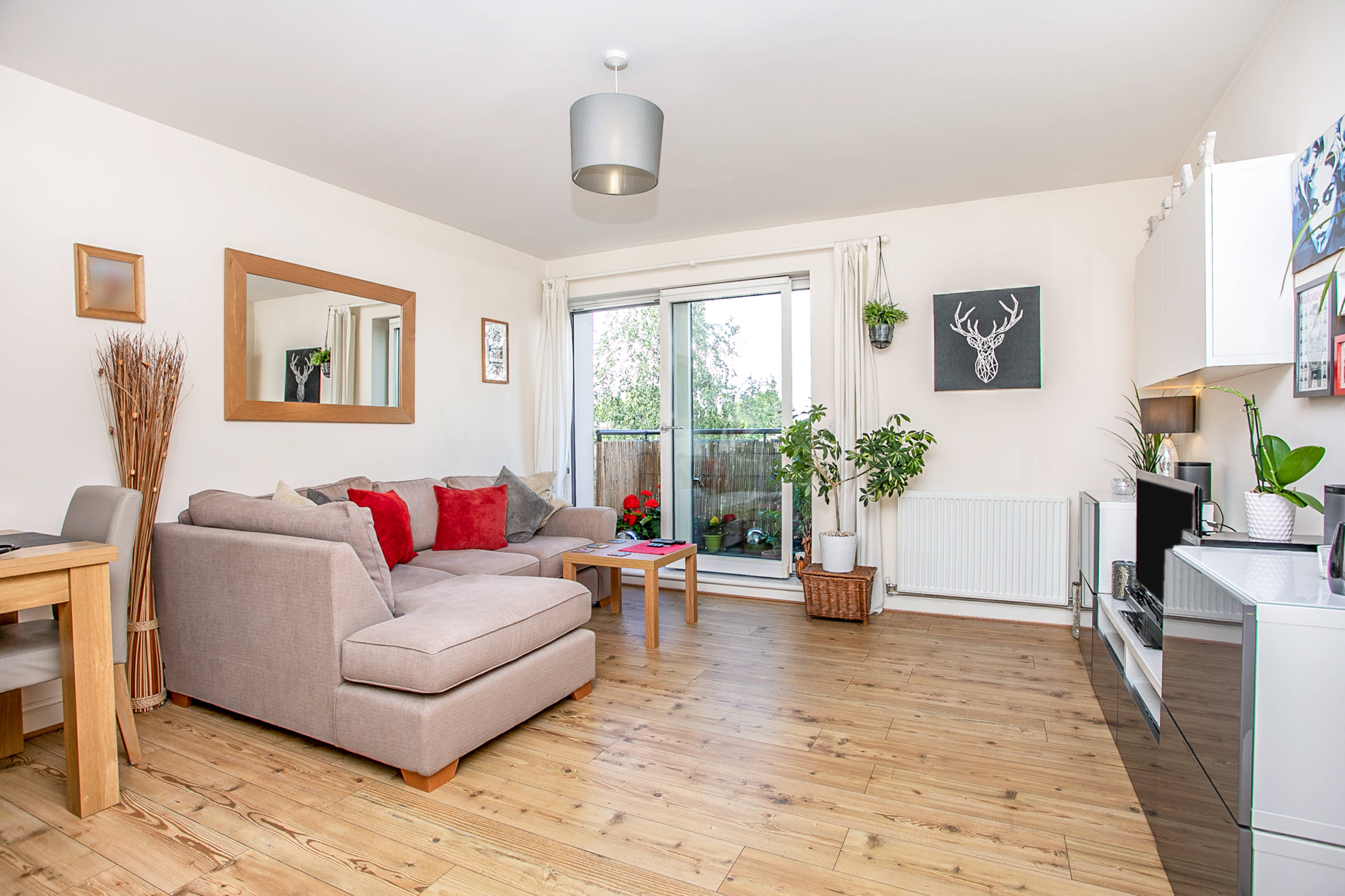 Living / Dining Room